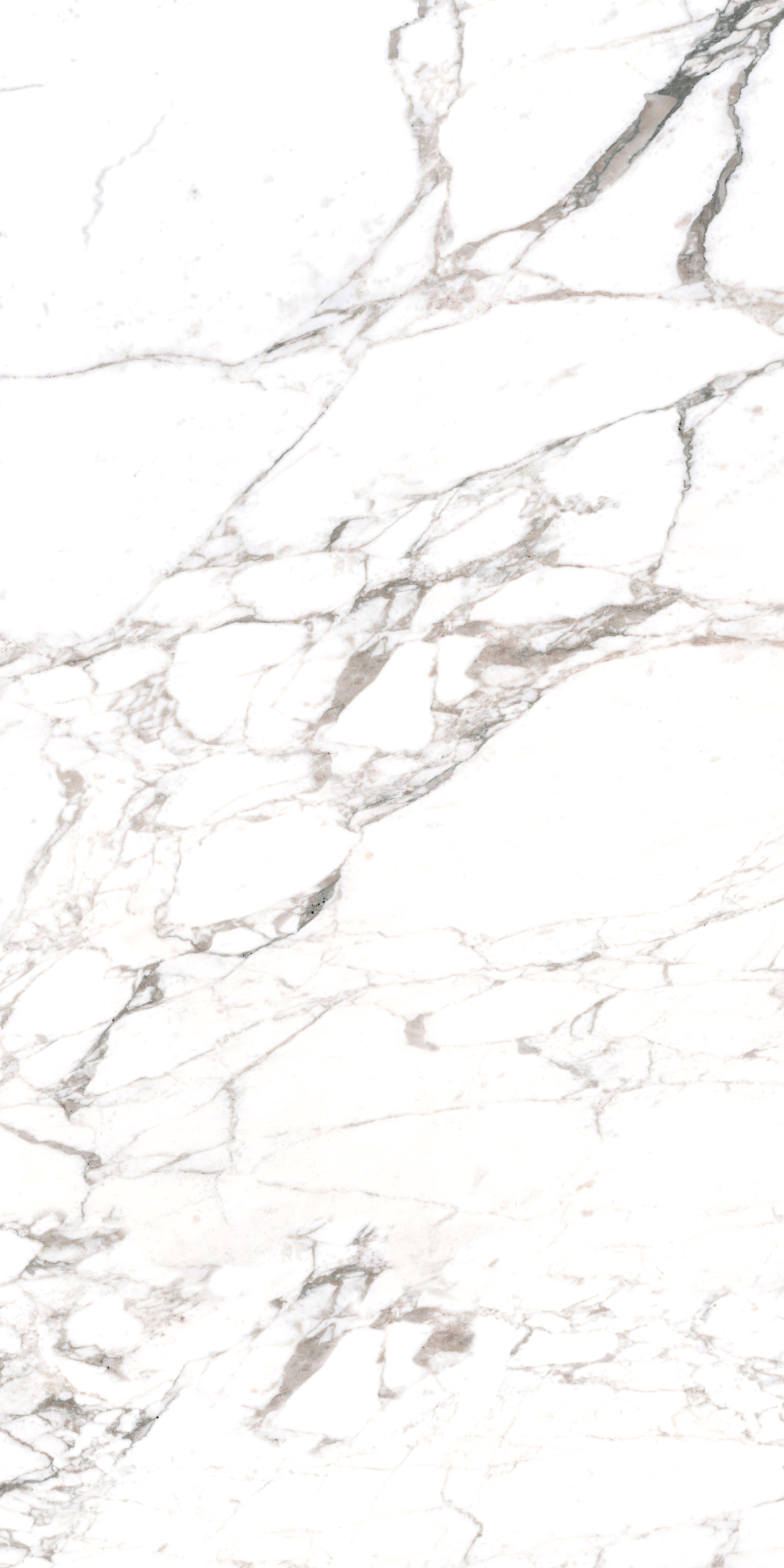 Calacatta Extra 12мм Lucida