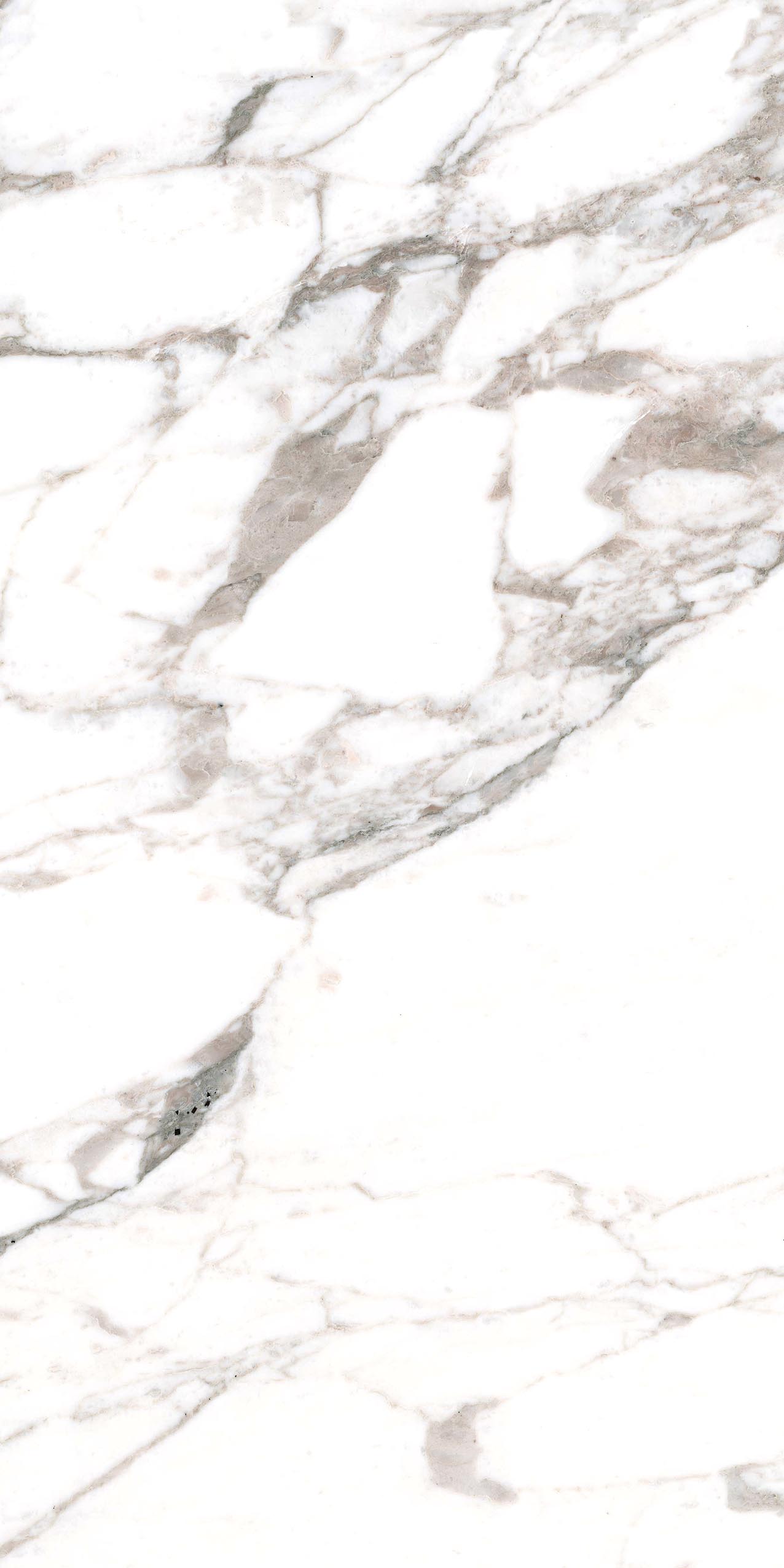 Calacatta Extra 10мм Lucida