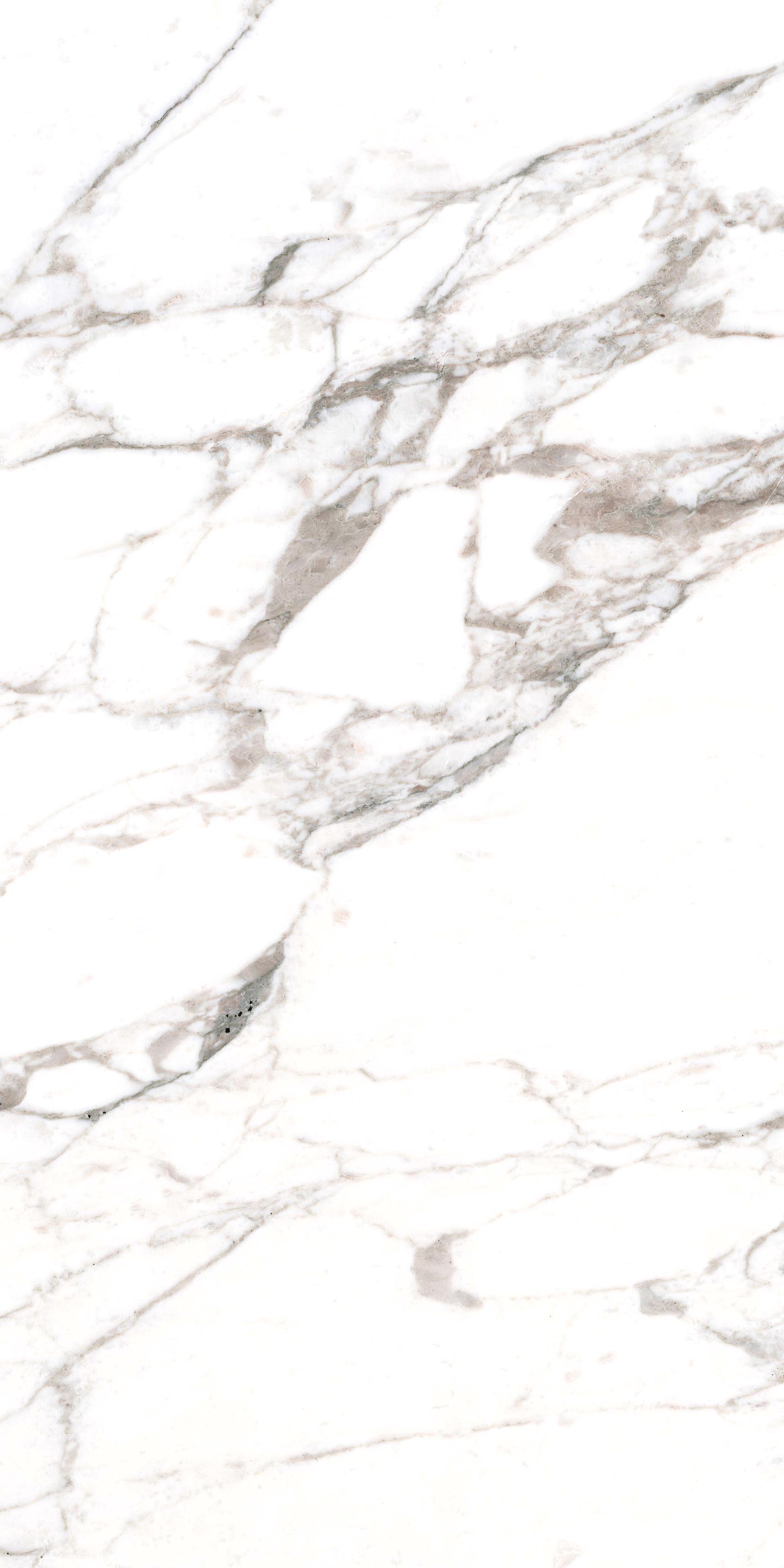 Calacatta Extra Honed R10 A+B
