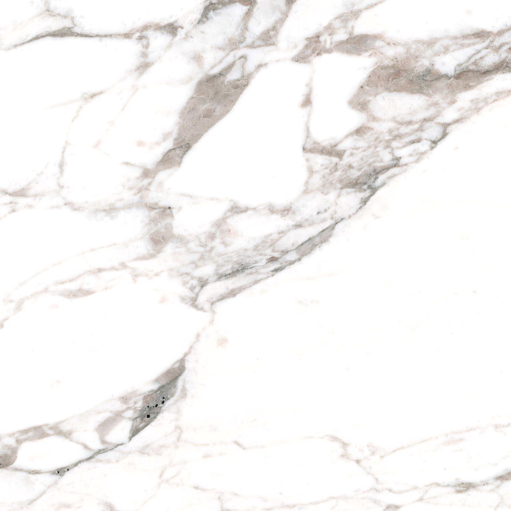 Calacatta Extra Lucida