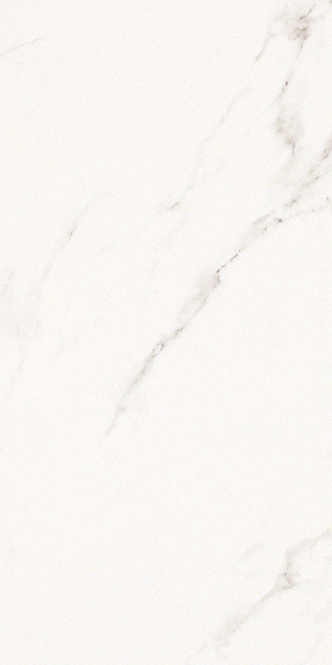 Statuario Grigio 10мм Lucida