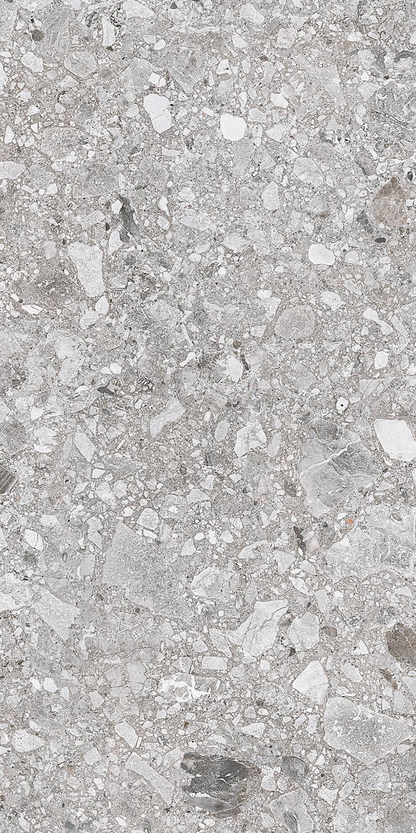 Керамогранит Gré Grigio Natural R 10 30×60 см - коллекция Pietre di Paragone, Casalgrande Padana