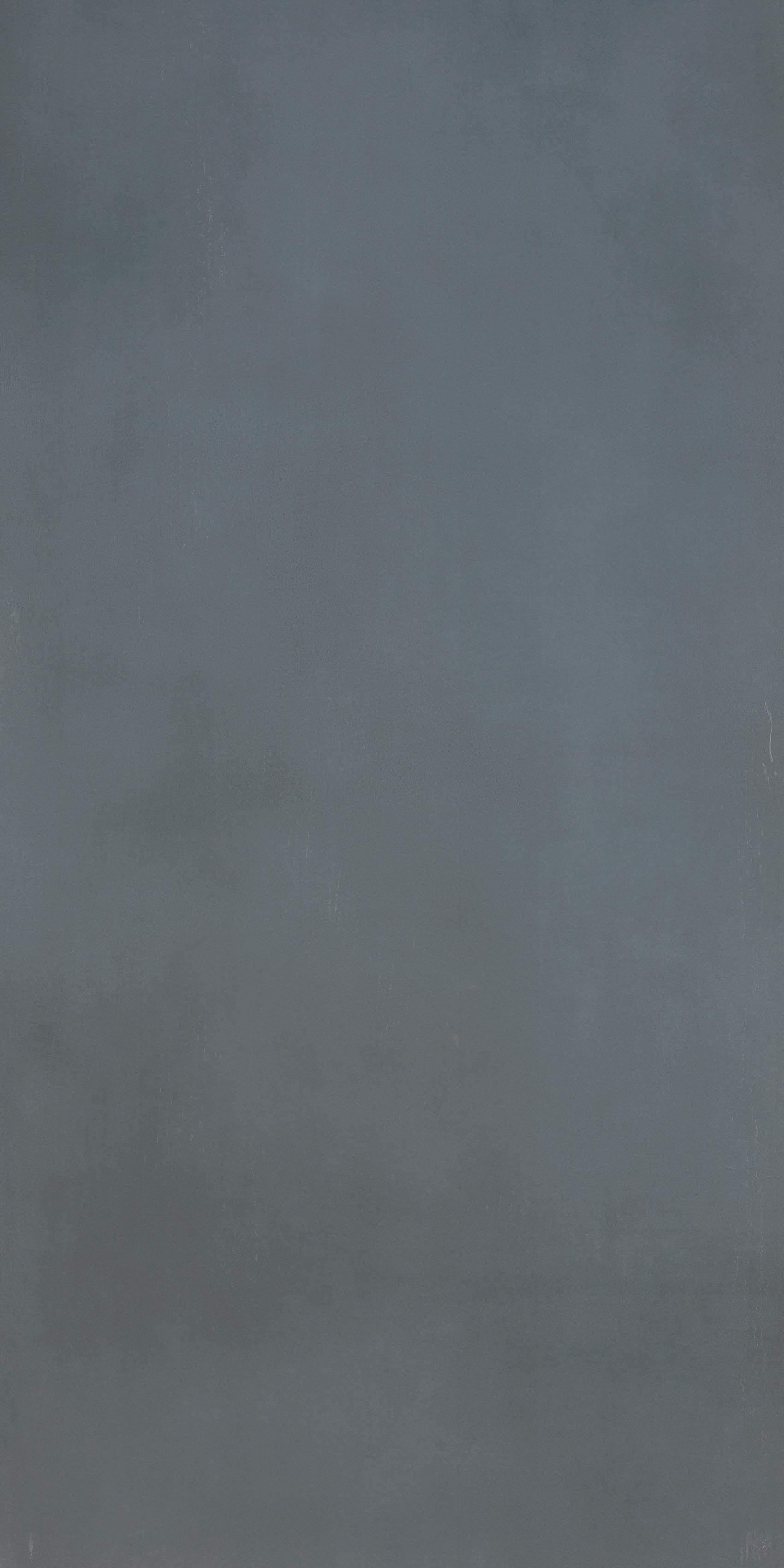 R - Evolution Dark Grey Natural