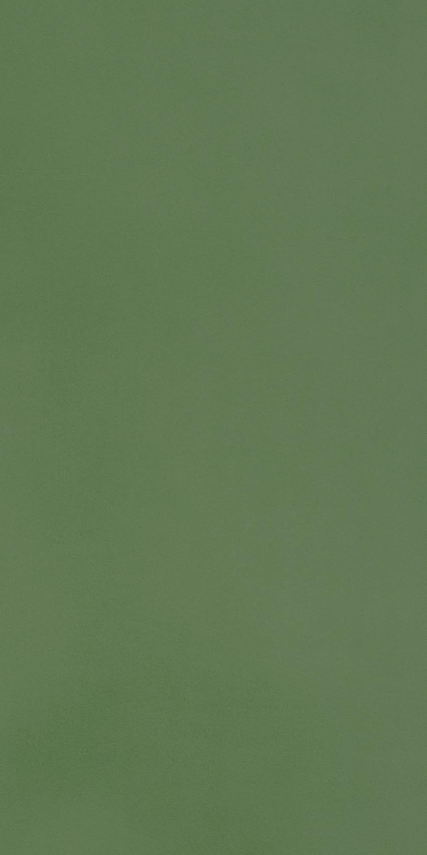Керамогранит R- Evolution Green Natural 30×60 см - коллекция R- Evolution, Casalgrande Padana