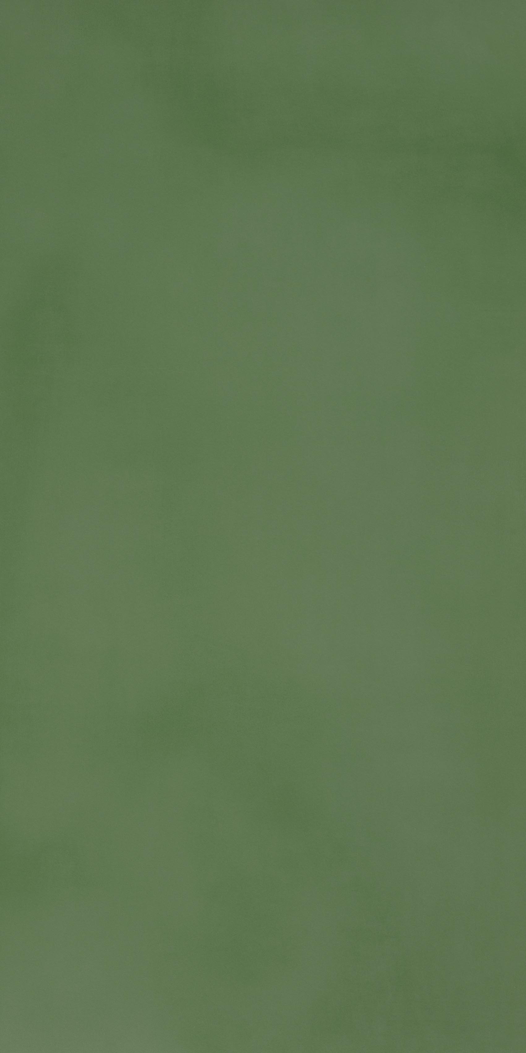 R- Evolution Green Natural