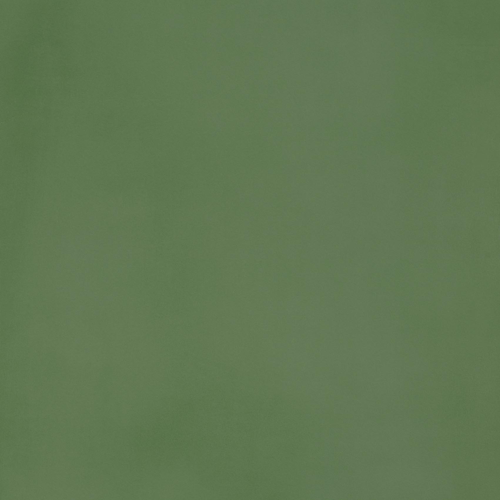 R- Evolution Green Natural