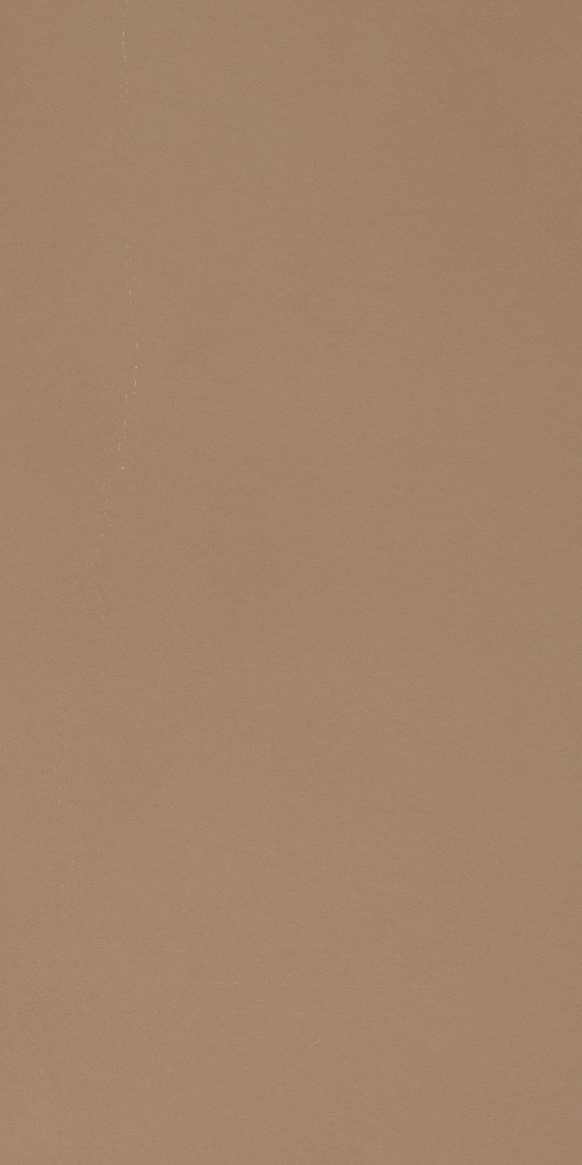 Керамогранит R - Evolution Terra Natural 30×60 см - коллекция R- Evolution, Casalgrande Padana
