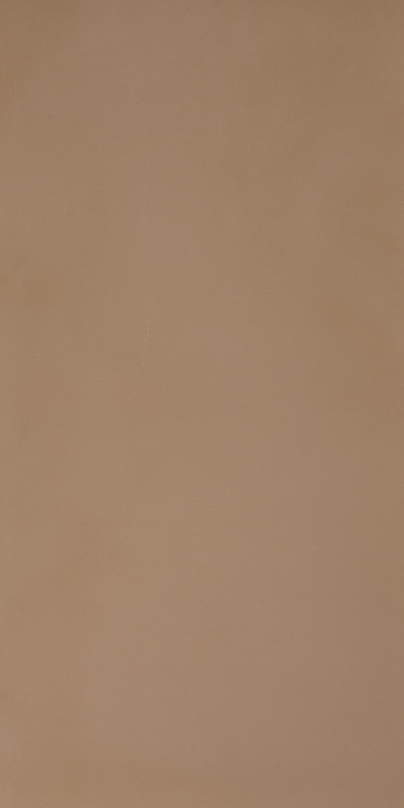 R - Evolution Terra Natural