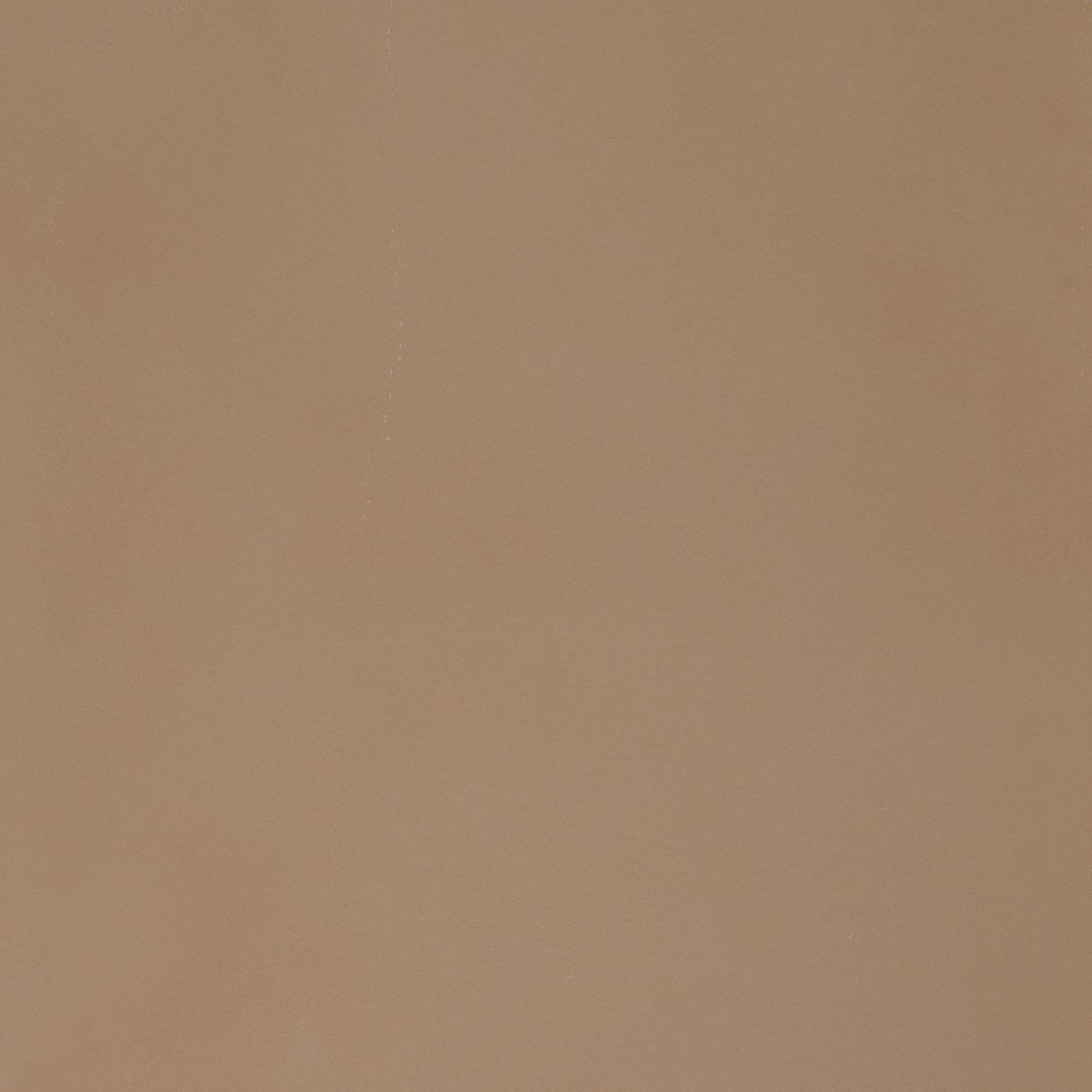 R - Evolution Terra Natural
