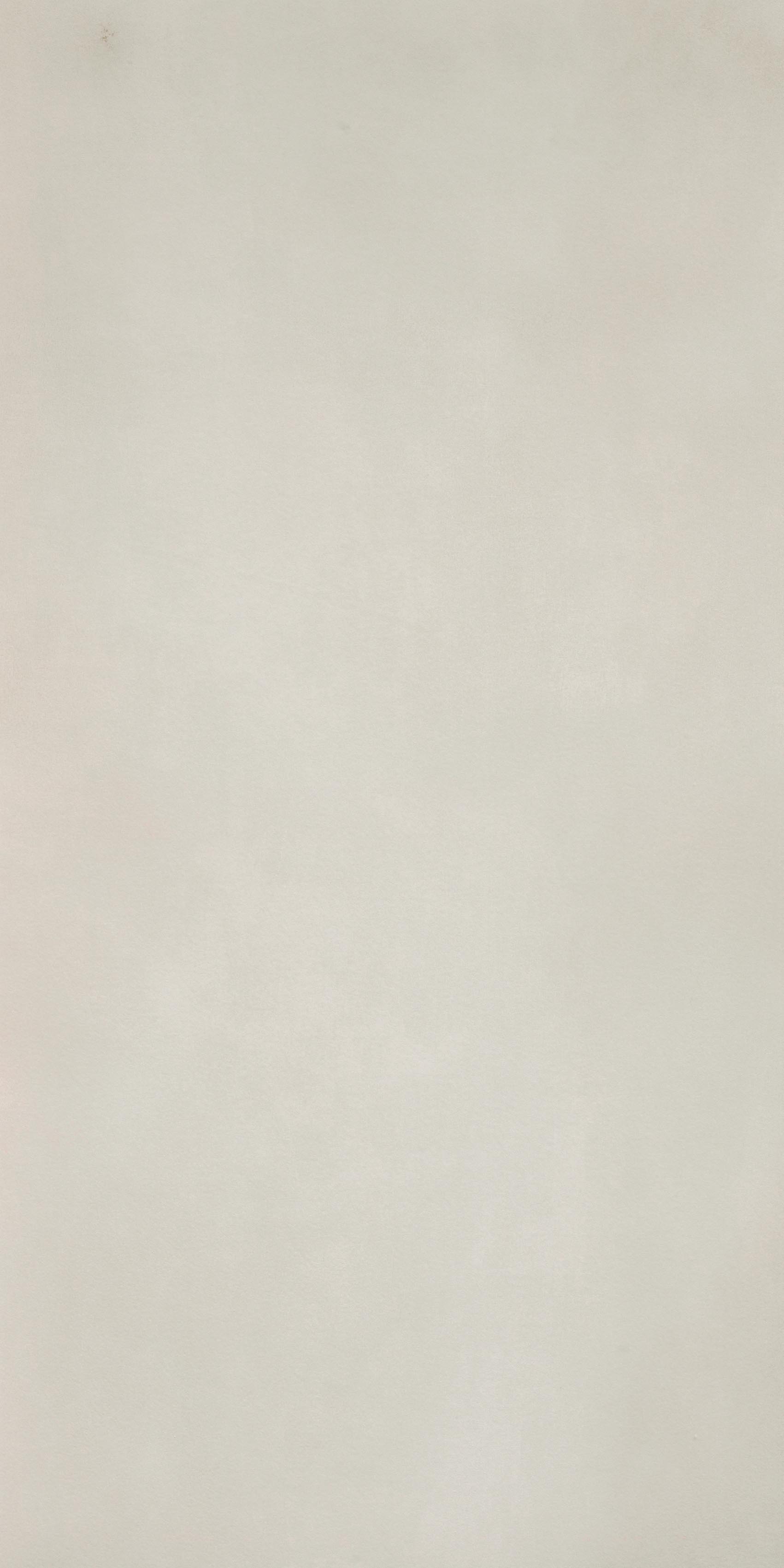 R- Evolution Total White Natural