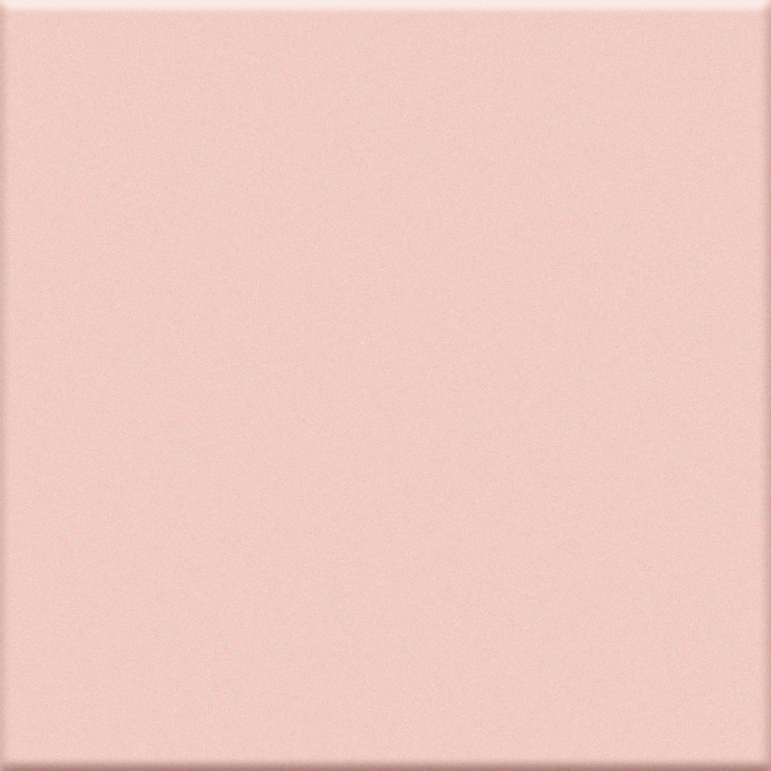 System Interni Rosa 20x20