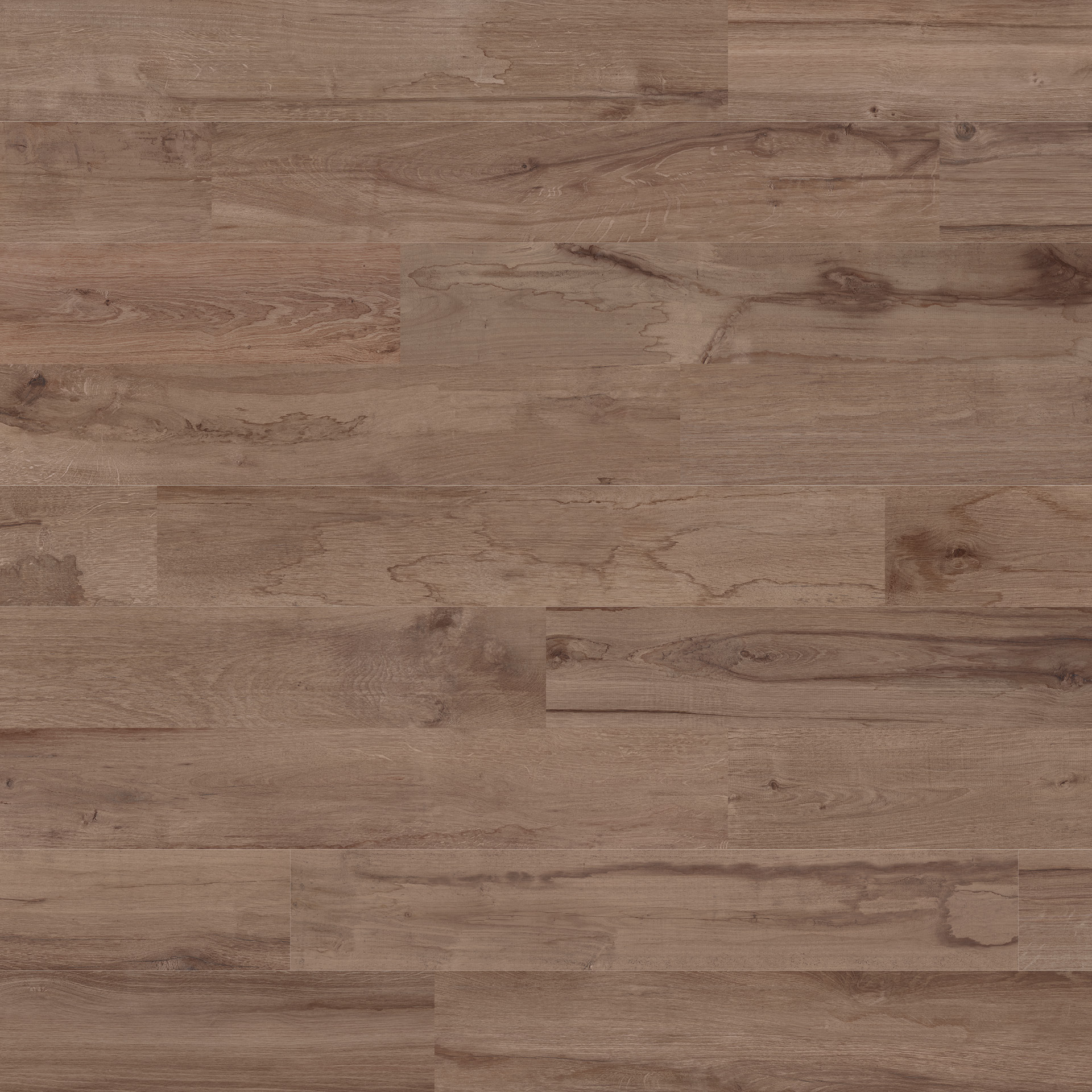 Rovere Bruno Ossidato
