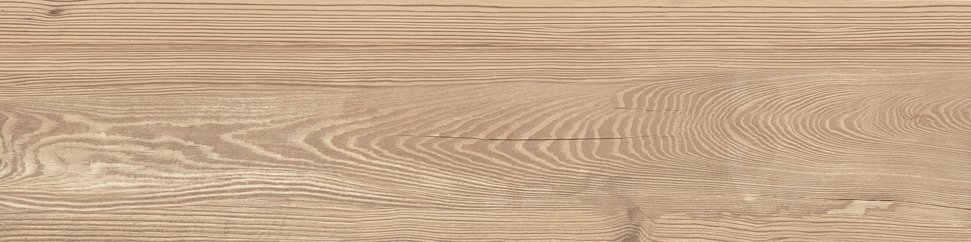 Larch