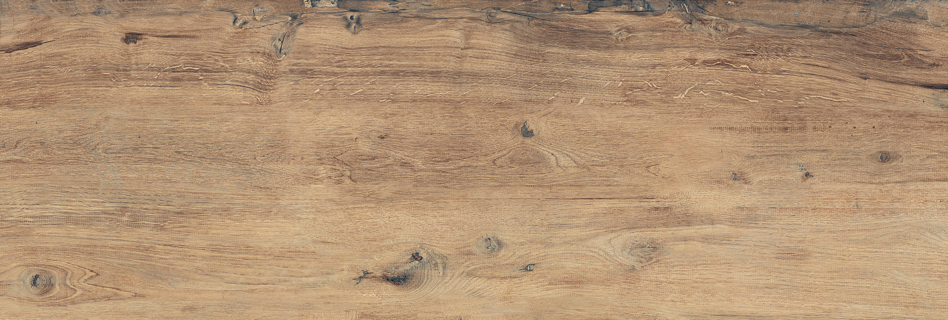 Scottish Oak