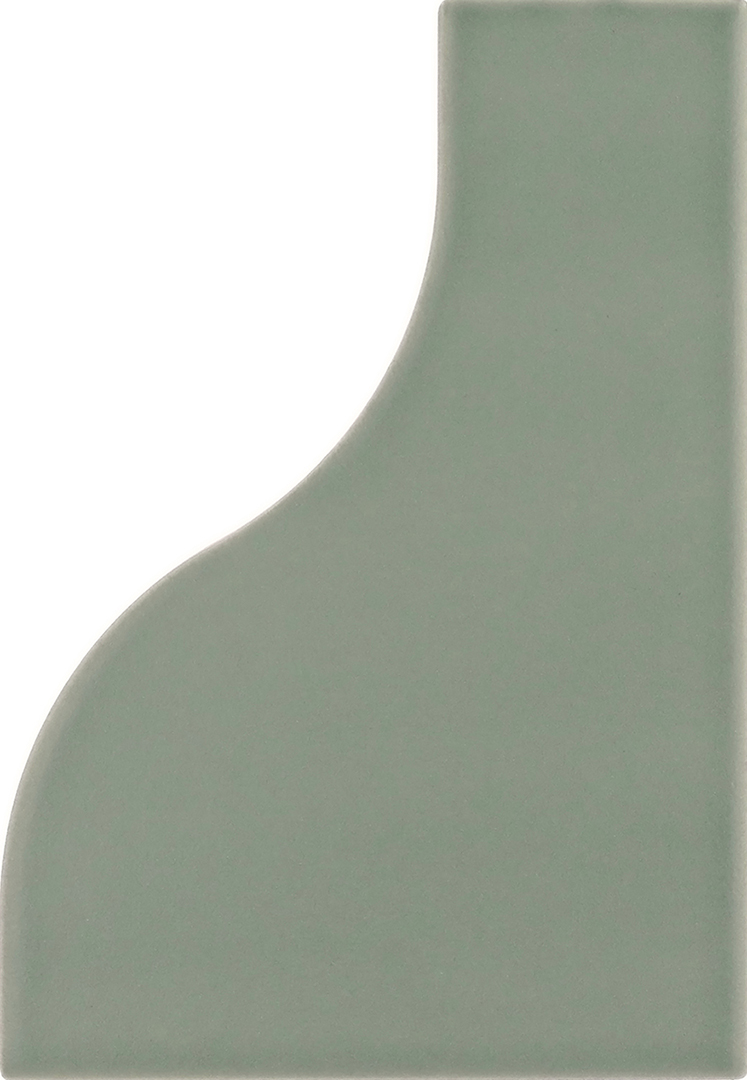 Curve Aquarium