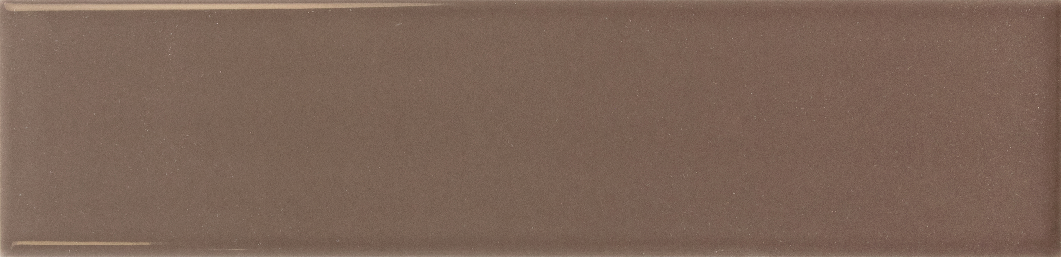 Lumina Acorn Gloss