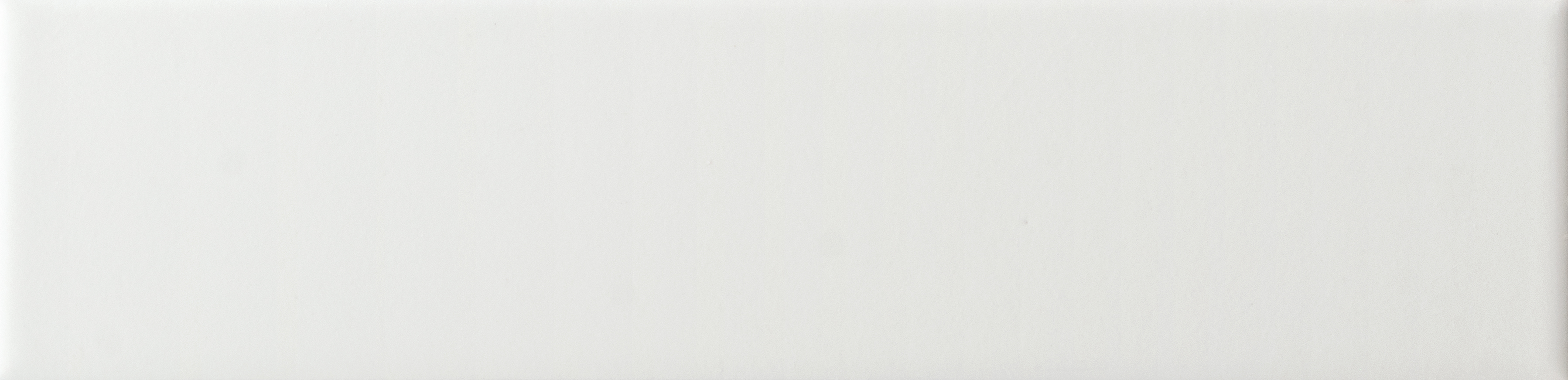 Lumina White Alyssum