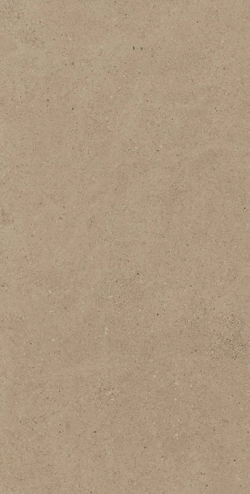 Спенс 60×120 CE01