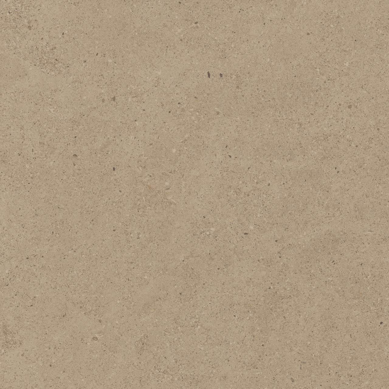 Спенс 60×60 CE01