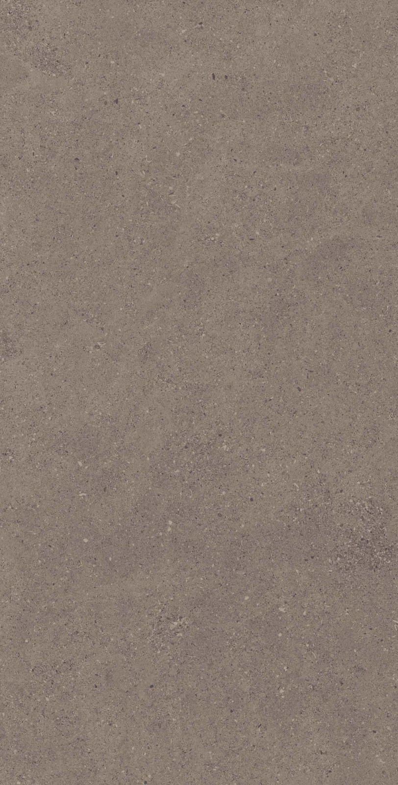 Спенс 60×120 CE04