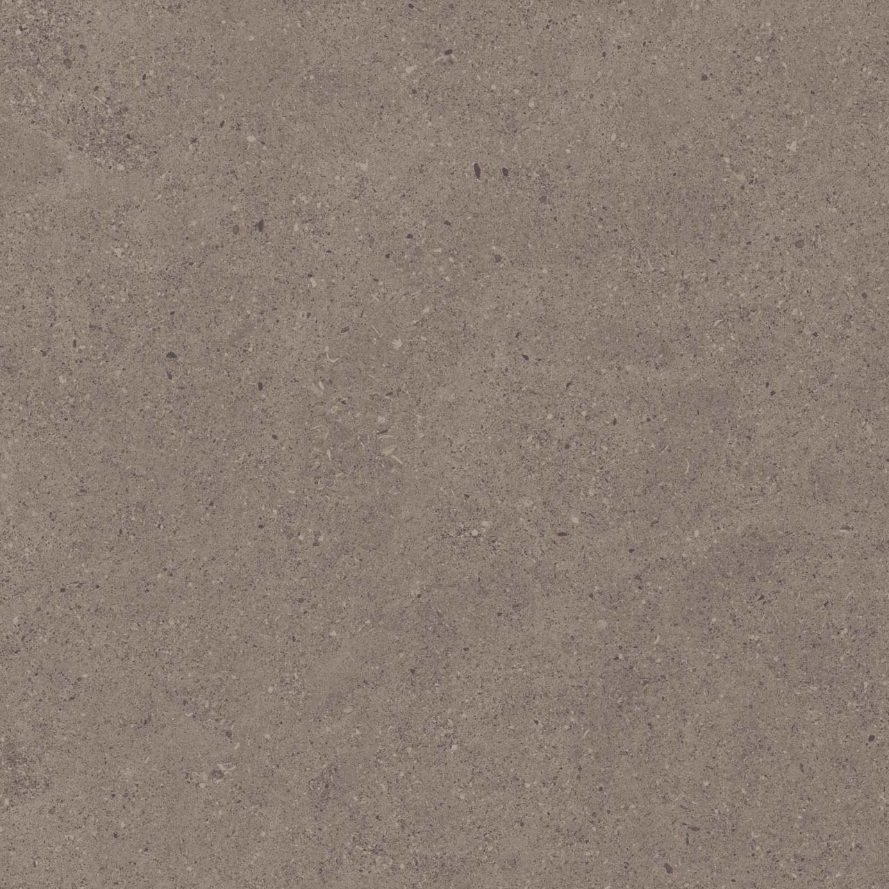 Спенс 60×60 CE04