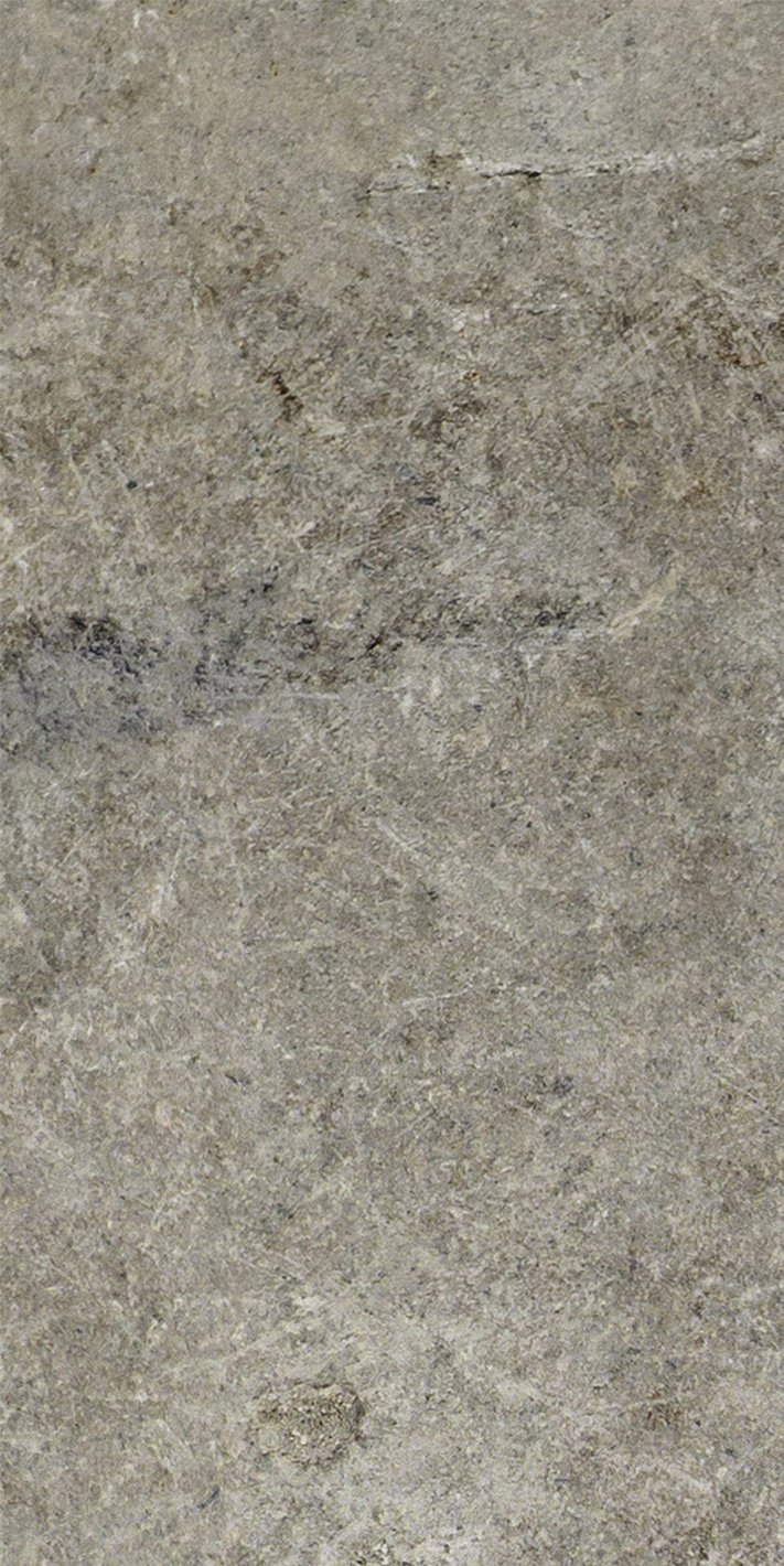 Керамогранит Vintage_Taupe 30x60 матовая 30×60 см - коллекция Artifact, Florim