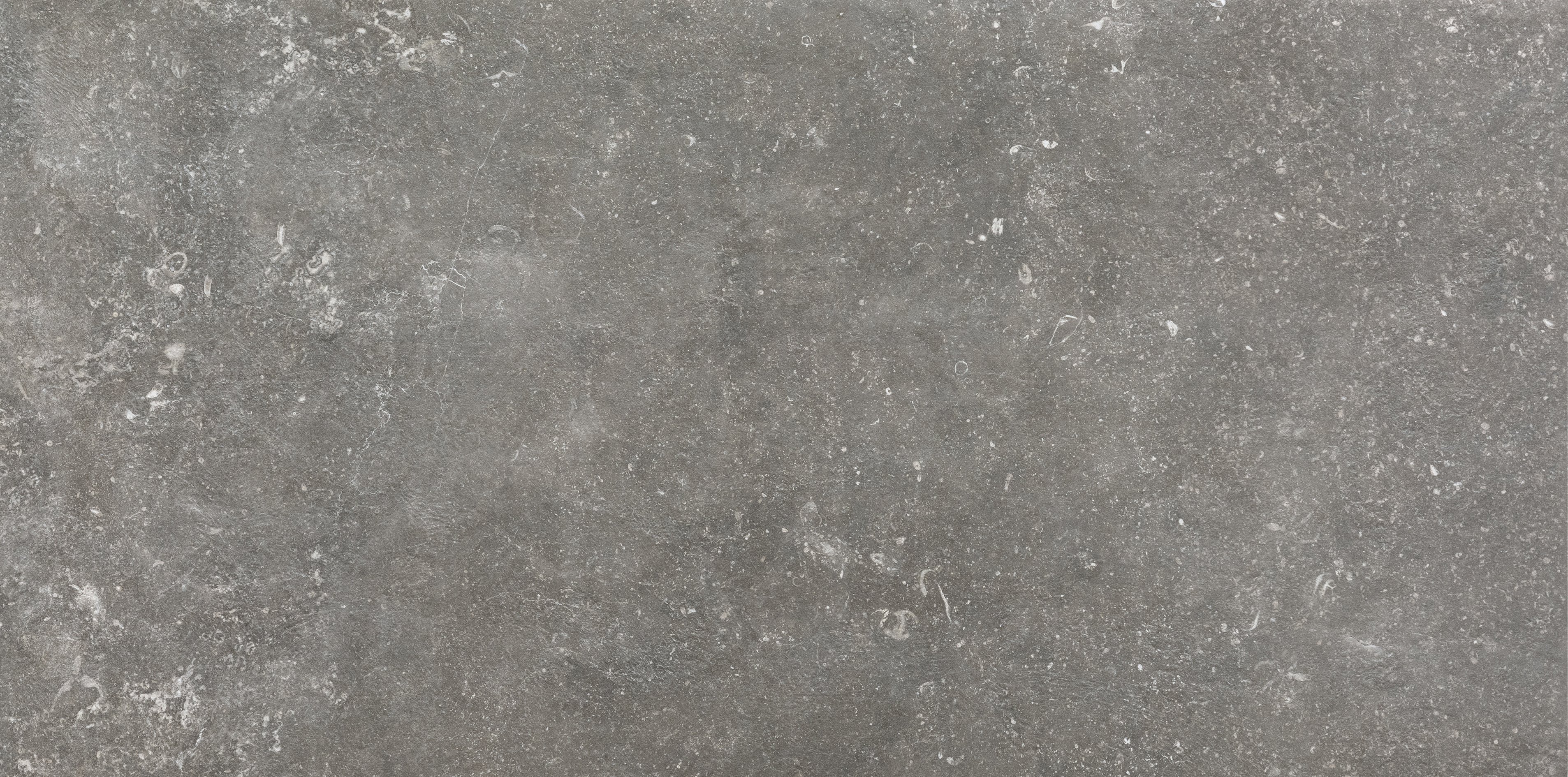 Charme 60x120 матовая