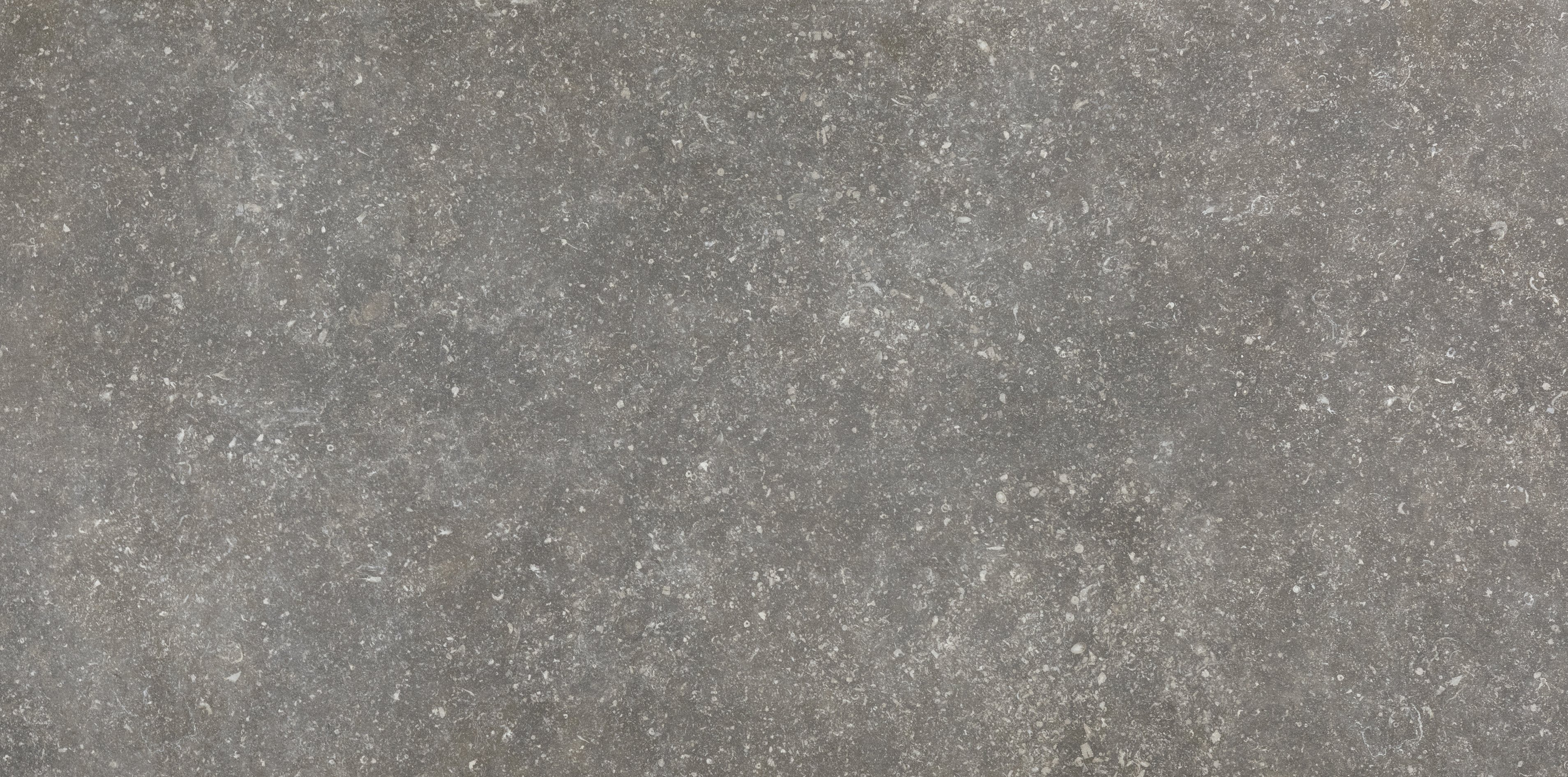 Charme 60x120 матовая Smooth