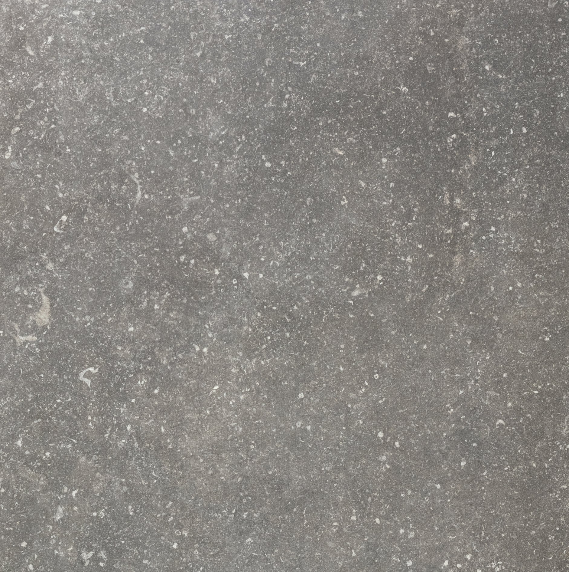Charme 60x60 Smooth