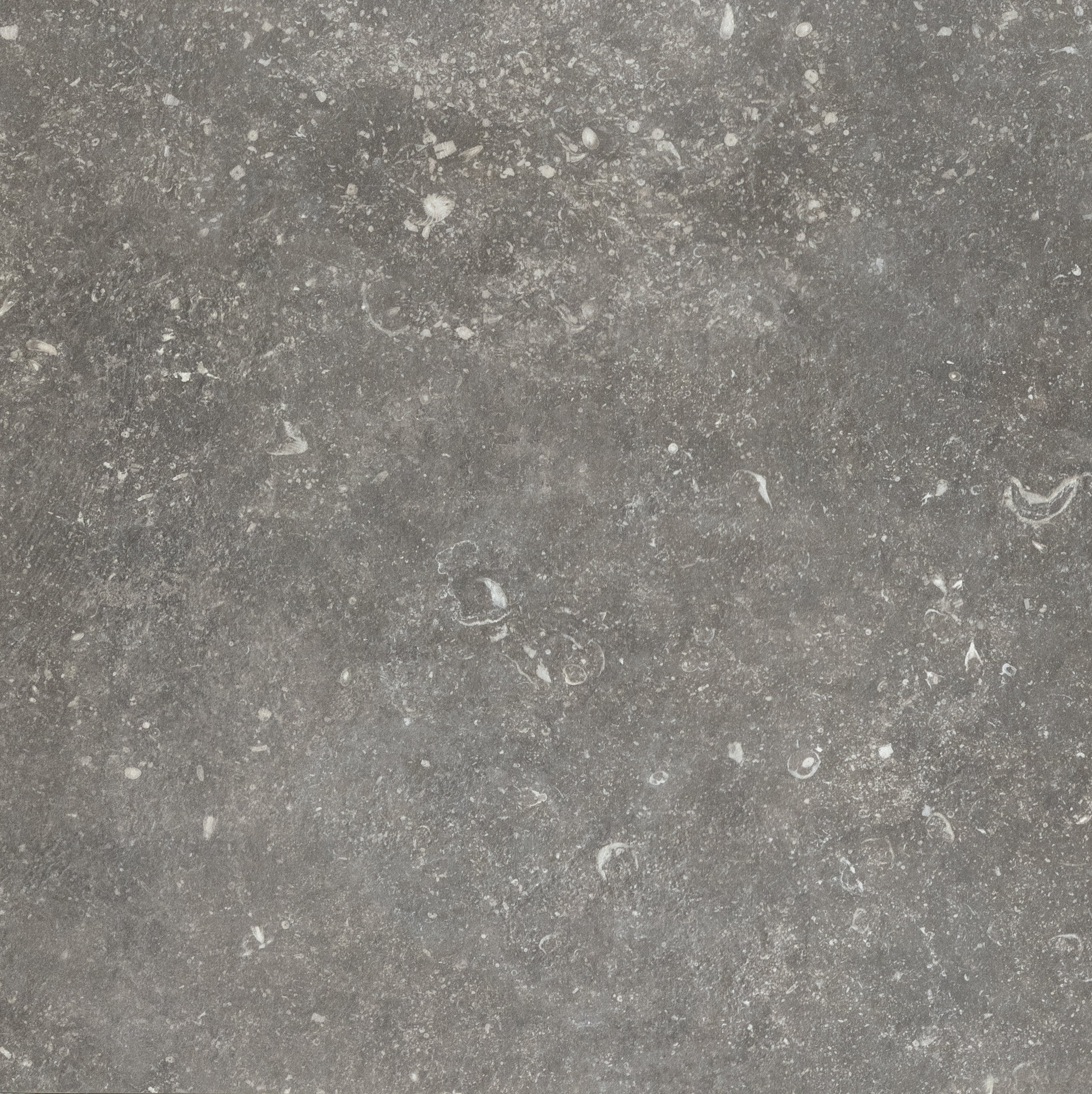 Charme 60x60