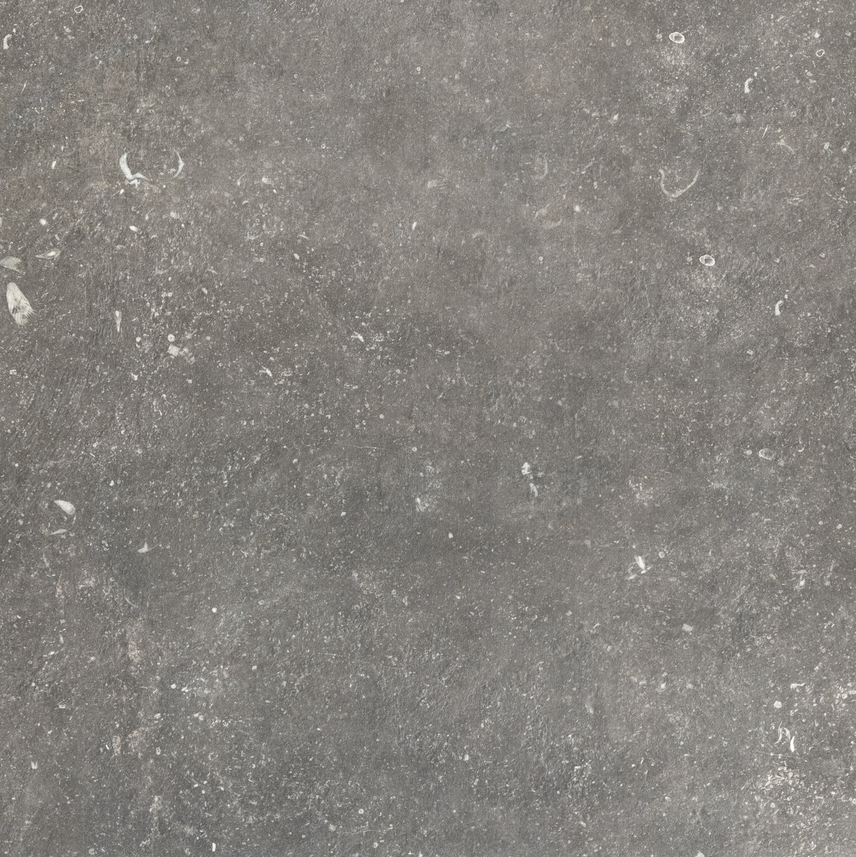 Charme 80x80