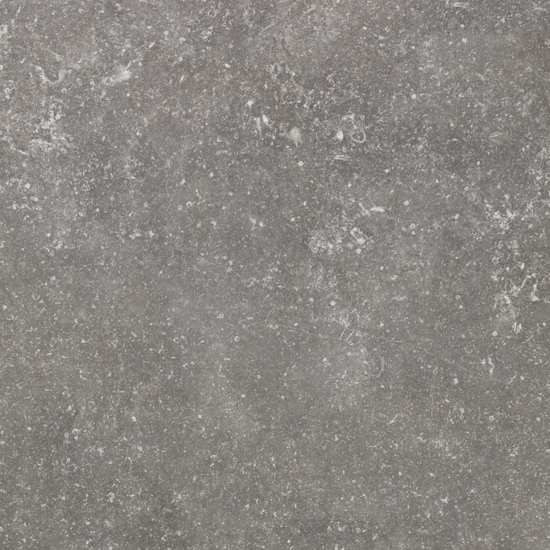 Charme 80x80 Smooth