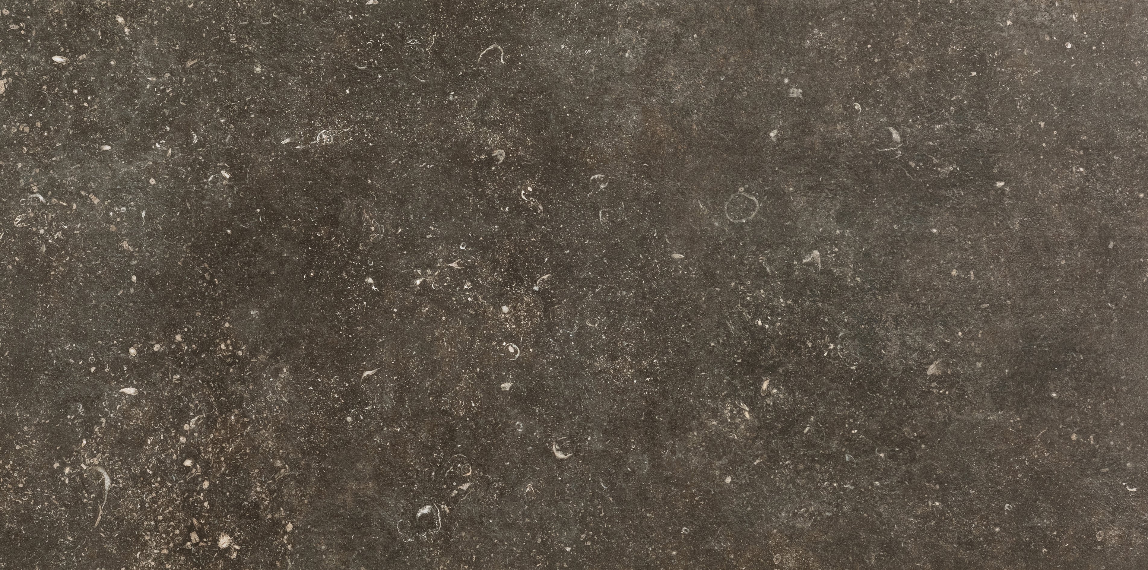 Désir 60x120 матовая