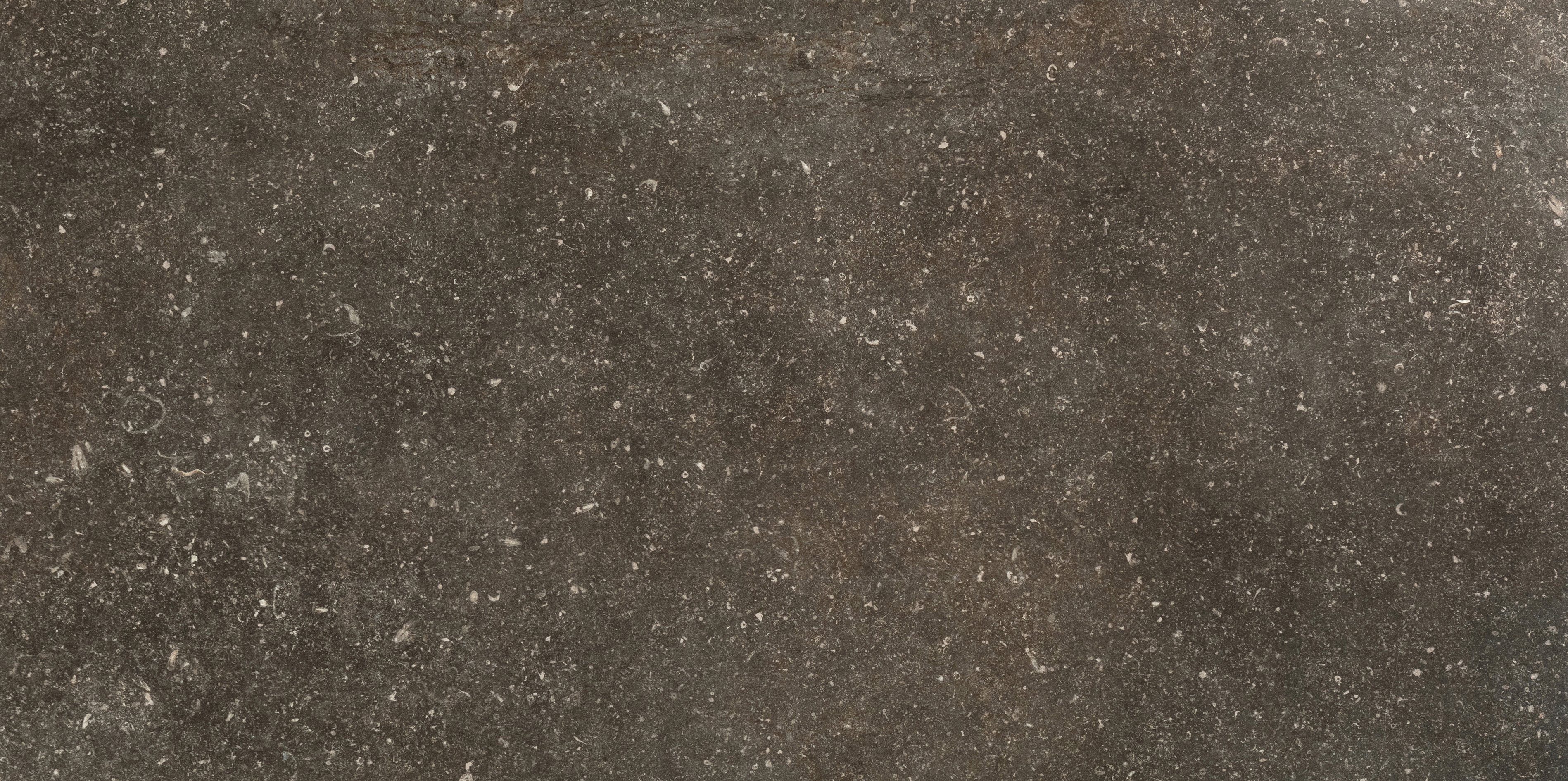 Désir 60x120 матовая Smooth