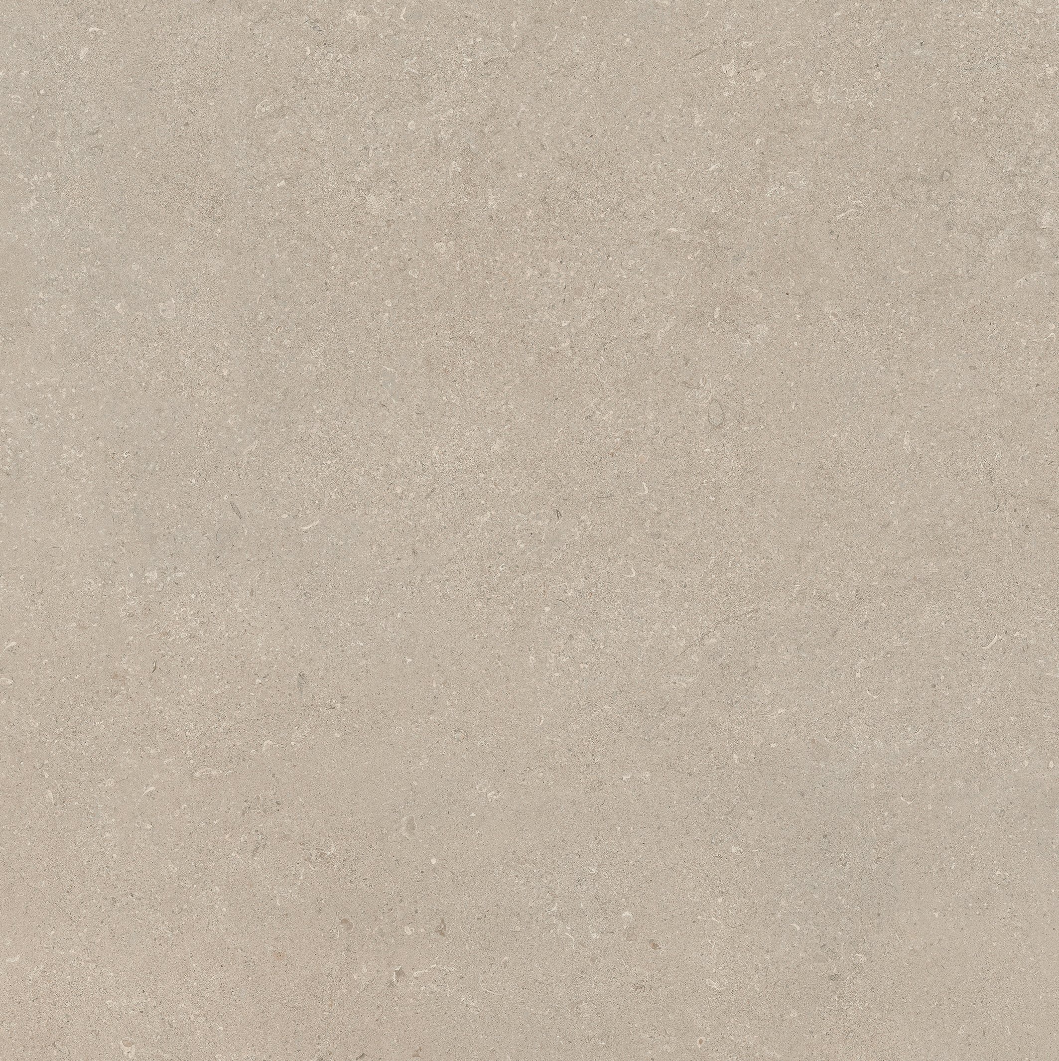 Stone Chablis 120x120 матовая 6 мм Lucido