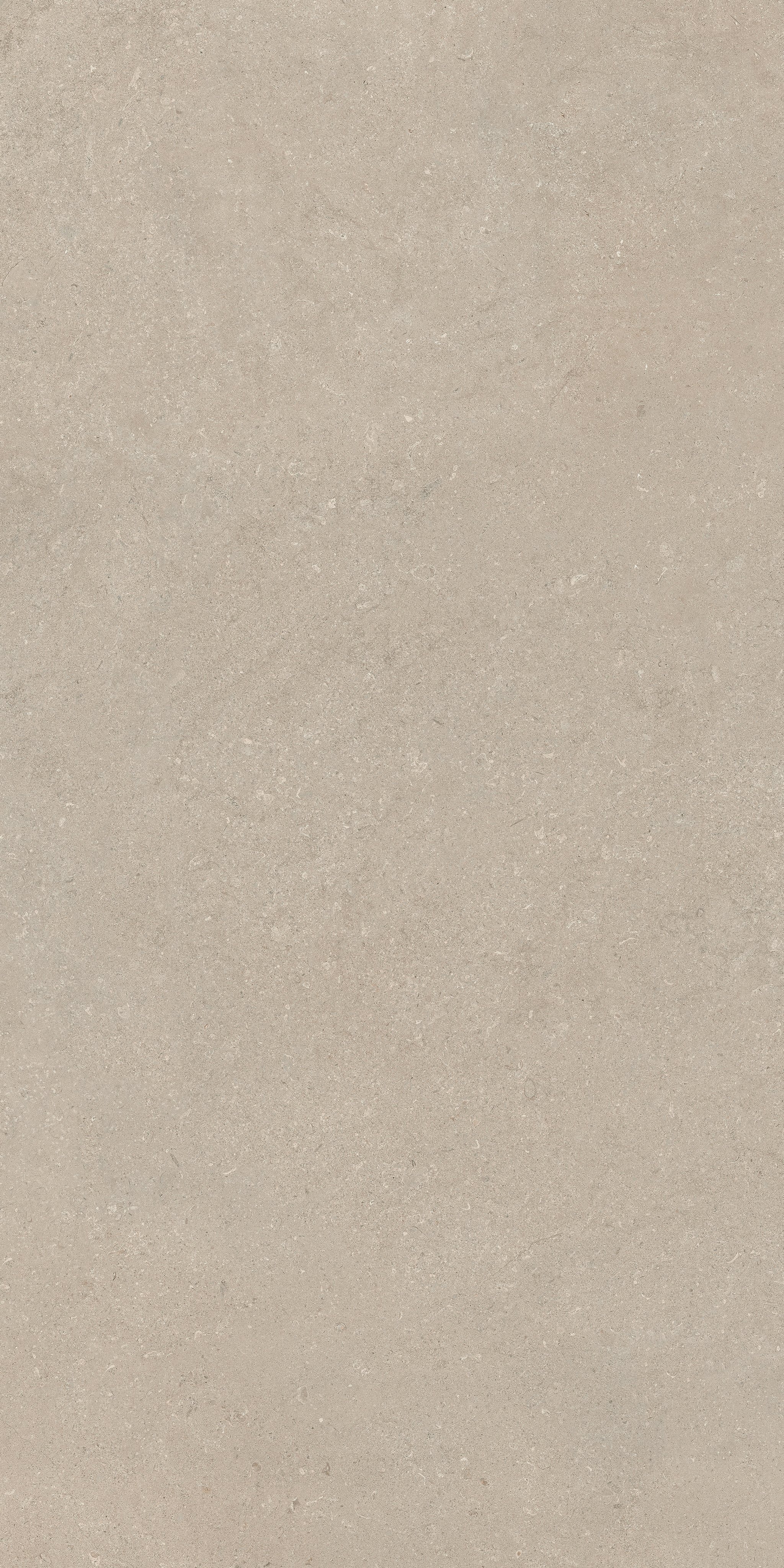 Stone Chablis 120x240