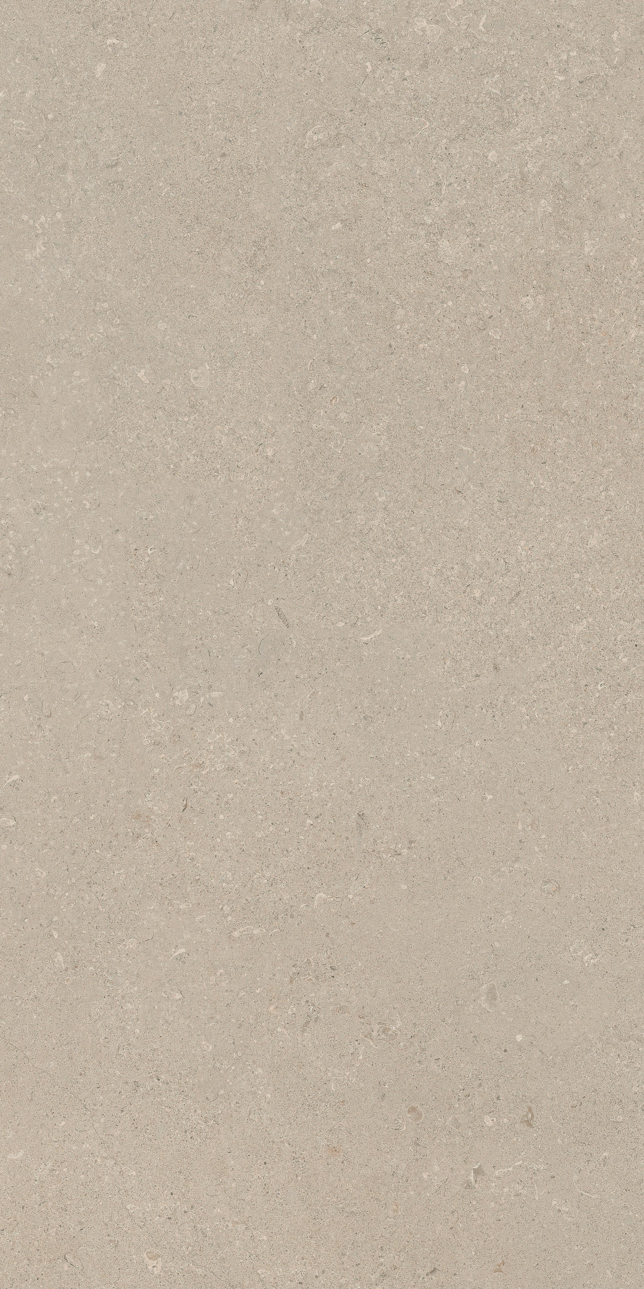 Stone Chablis 60x120 структурная 20 мм