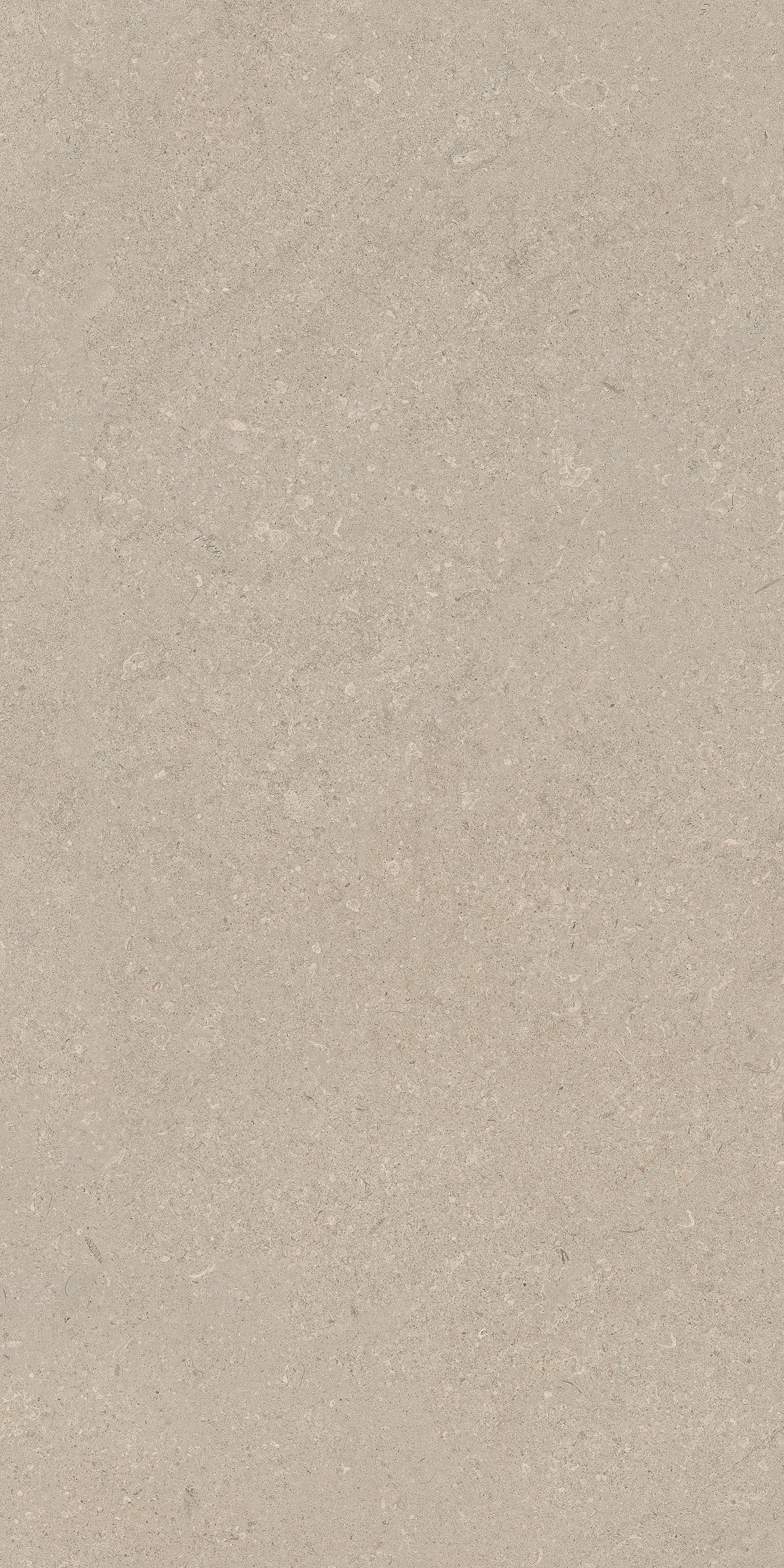 Stone Chablis 60x120 структурная 9 мм Grip