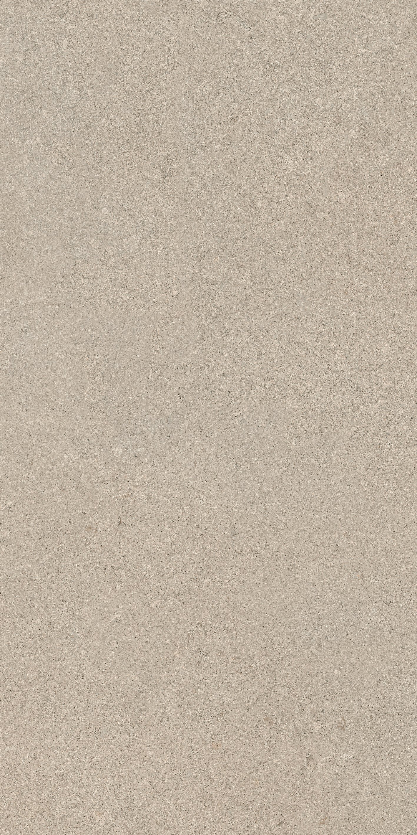 Stone Chablis 60x120 матовая 6 мм Lucido