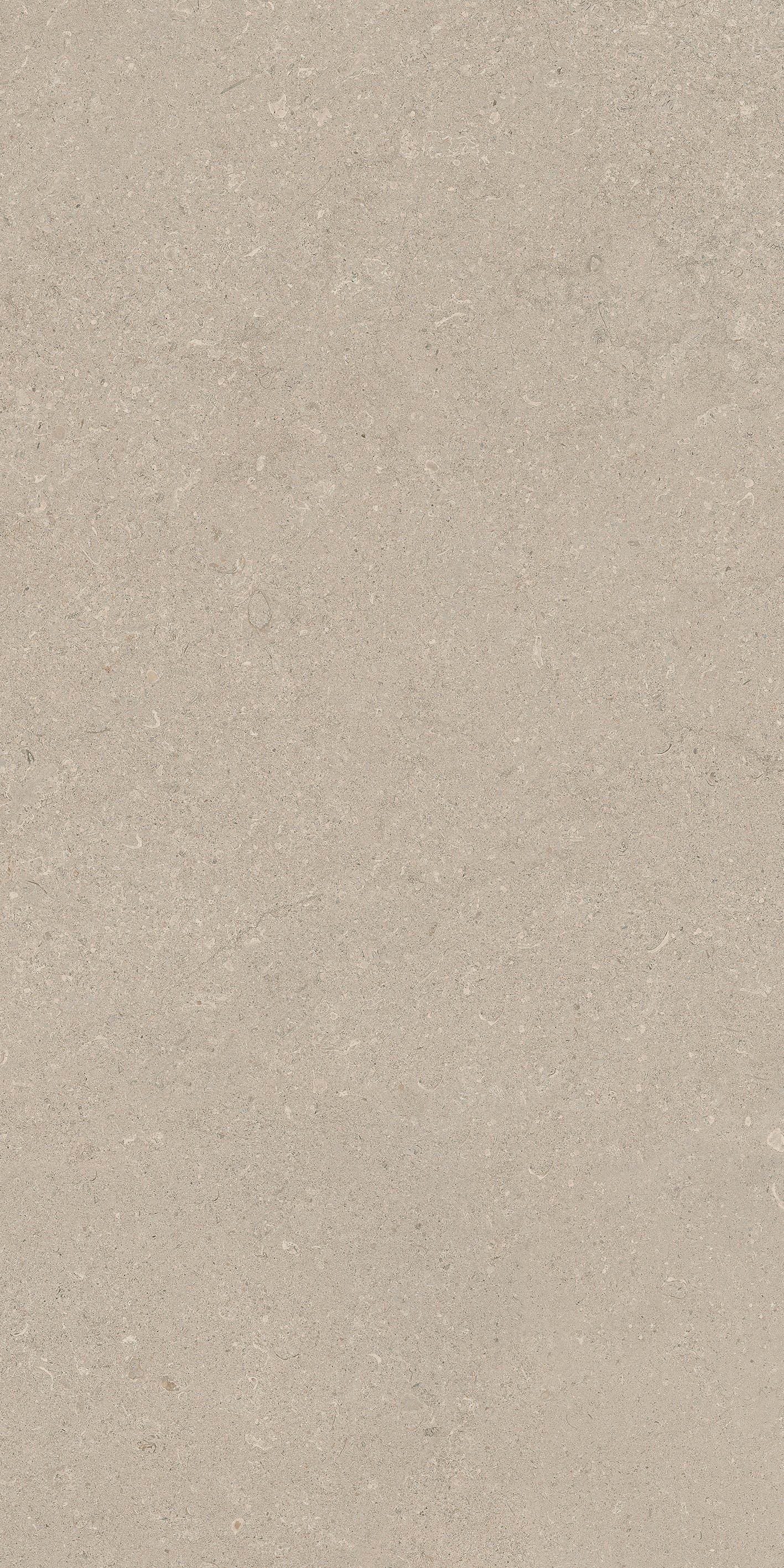 Stone Chablis 60x120 матовая 9 мм