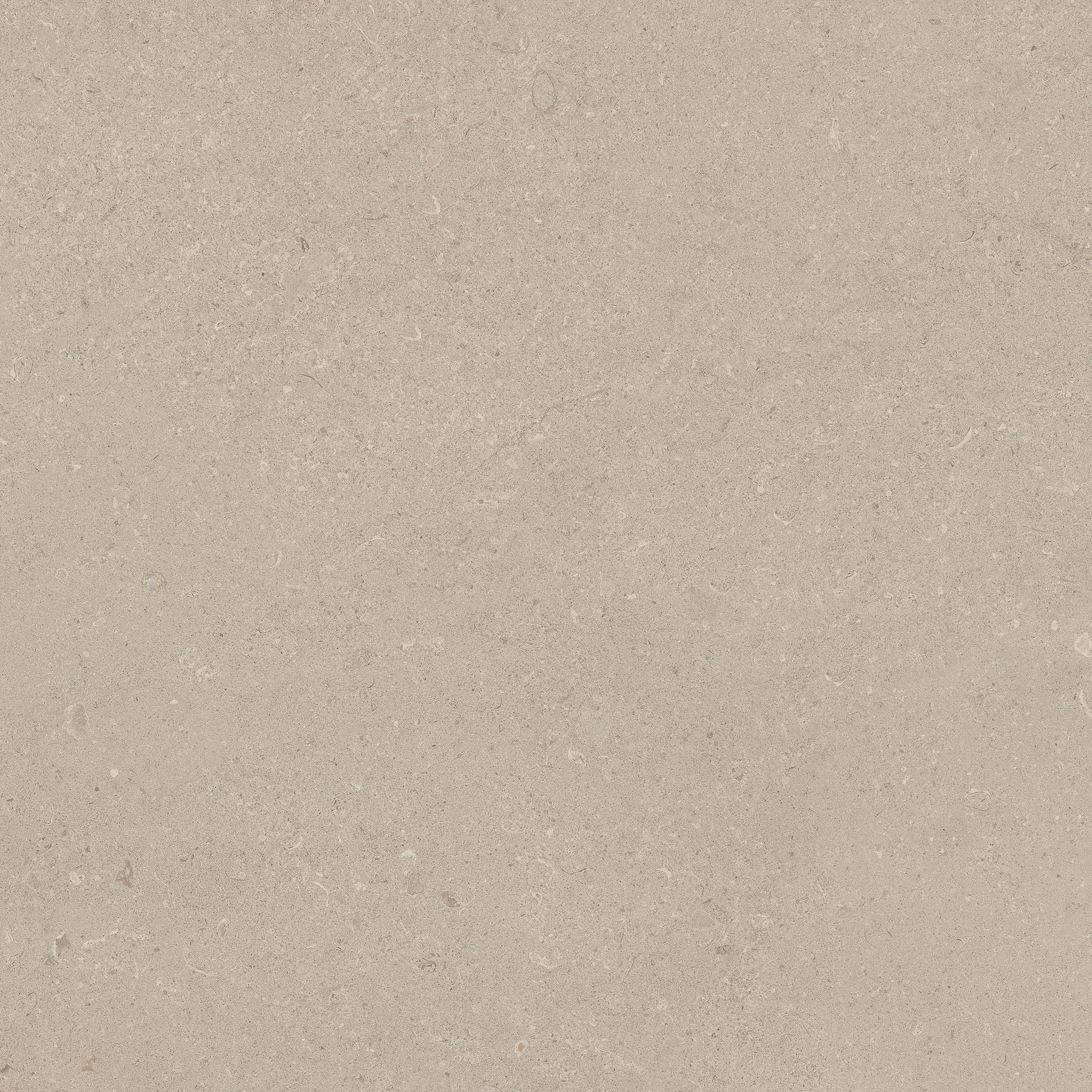 Stone Chablis 80x80 матовая
