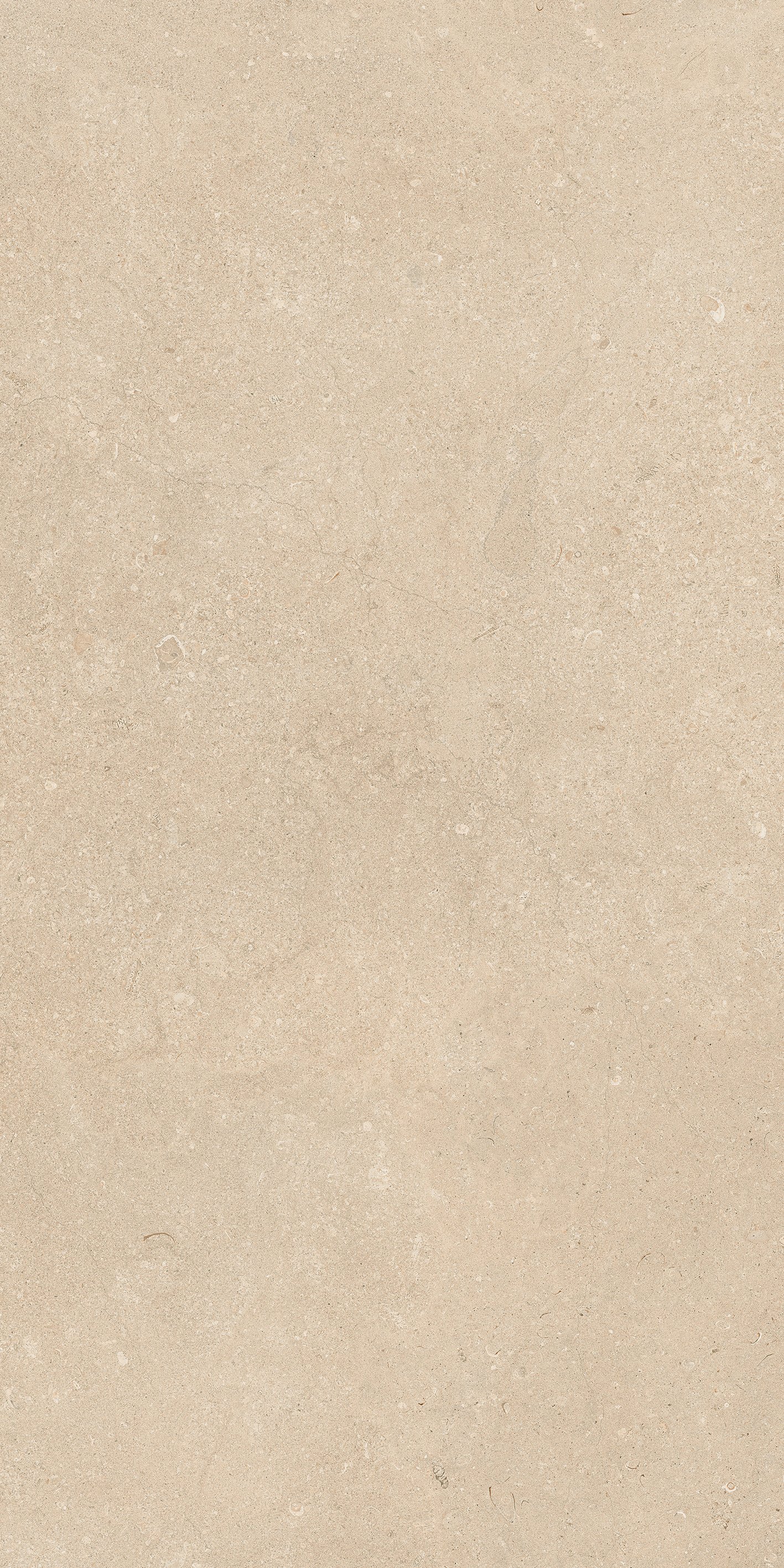 Stone Dordogne 60x120 матовая 9 мм