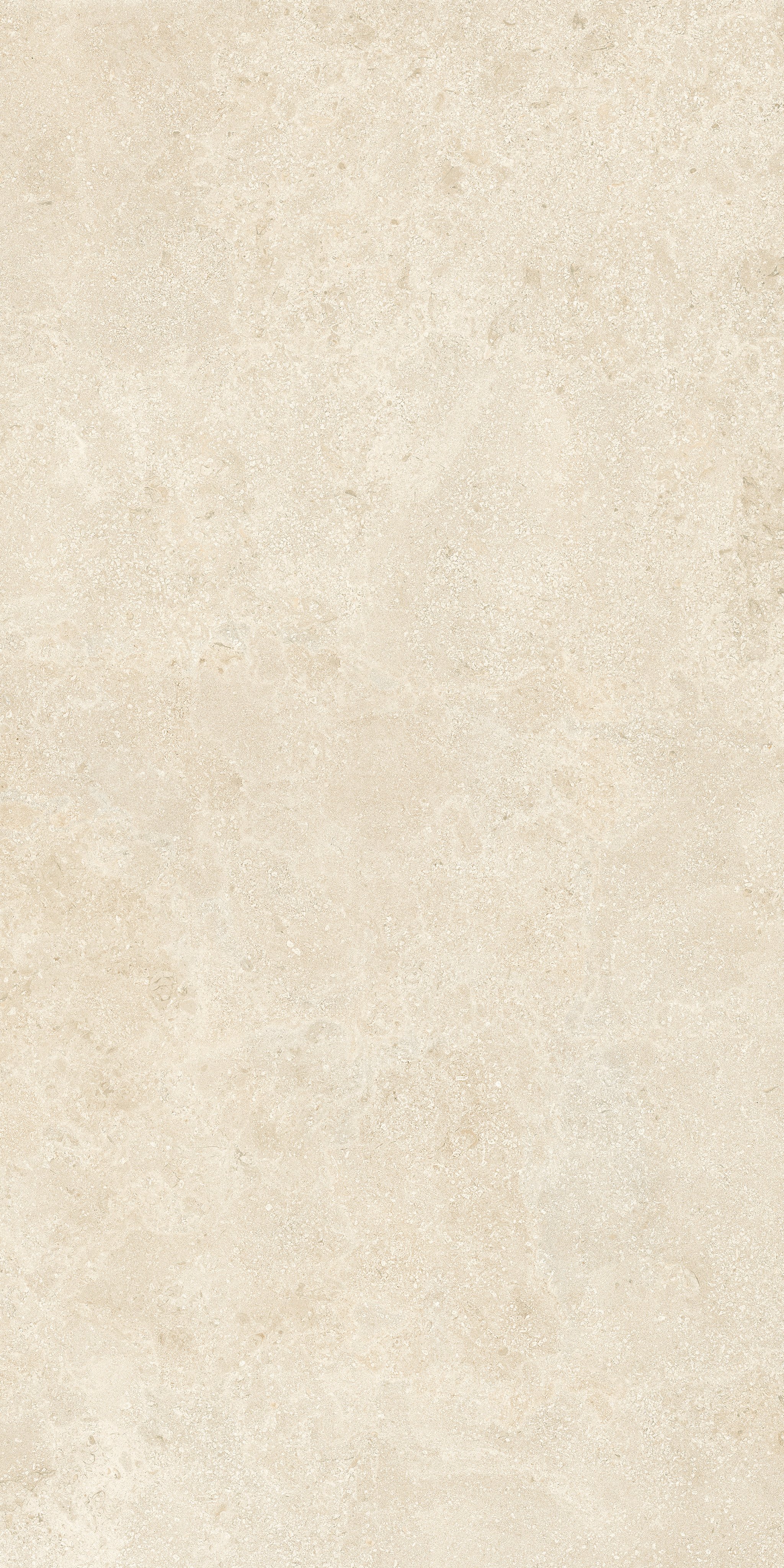 Stone Montpellier 120x240