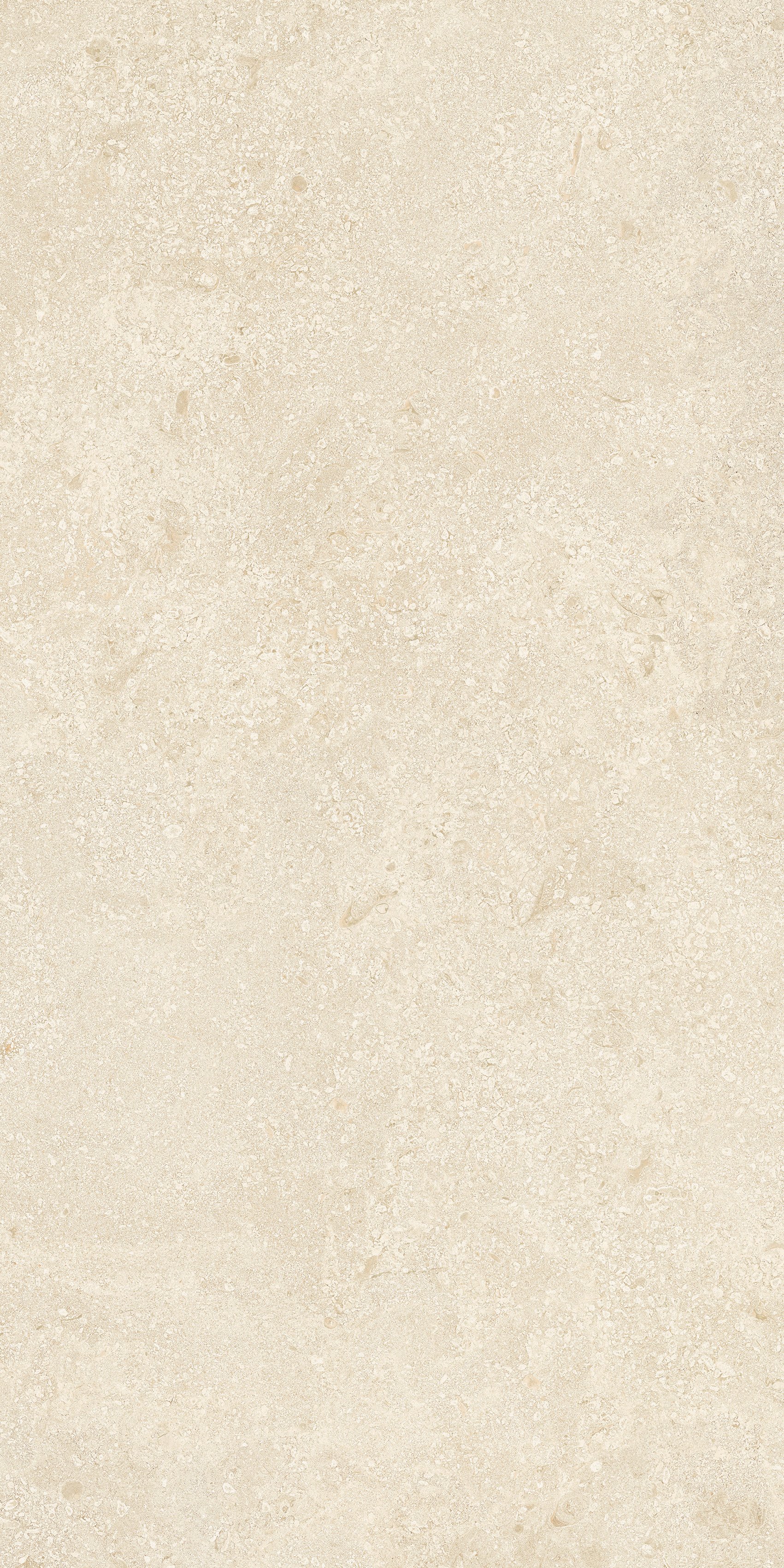 Stone Montpellier 60x120 матовая 9 мм
