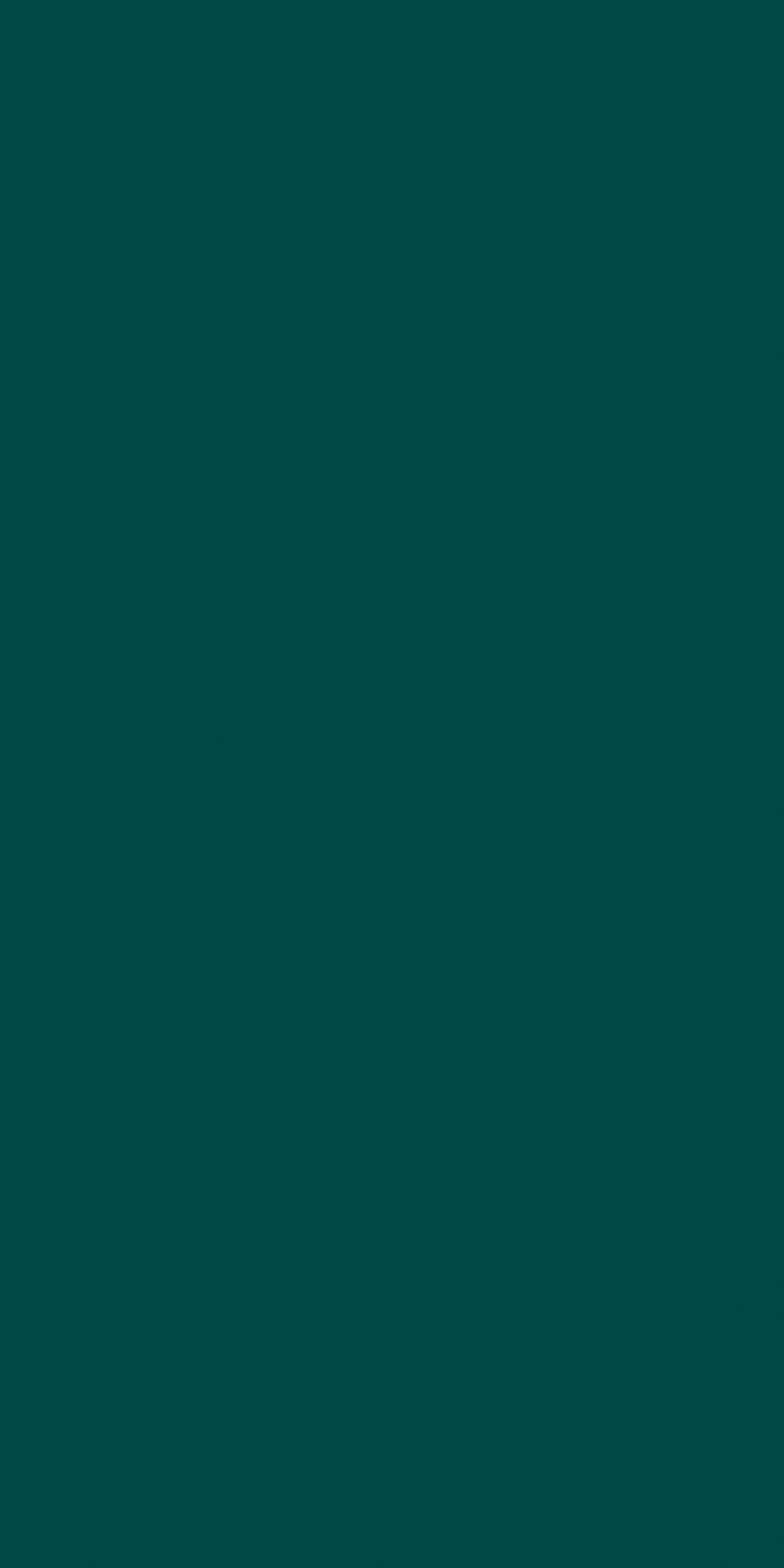 Bottle 120x240 матовая