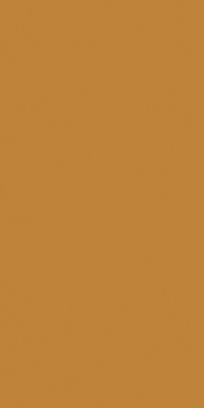 Mustard 60x120 матовая