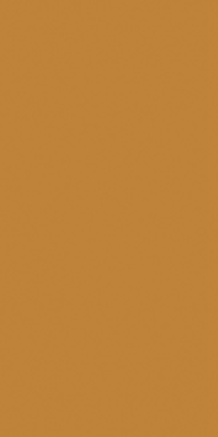 Mustard 60x120 глянцевая