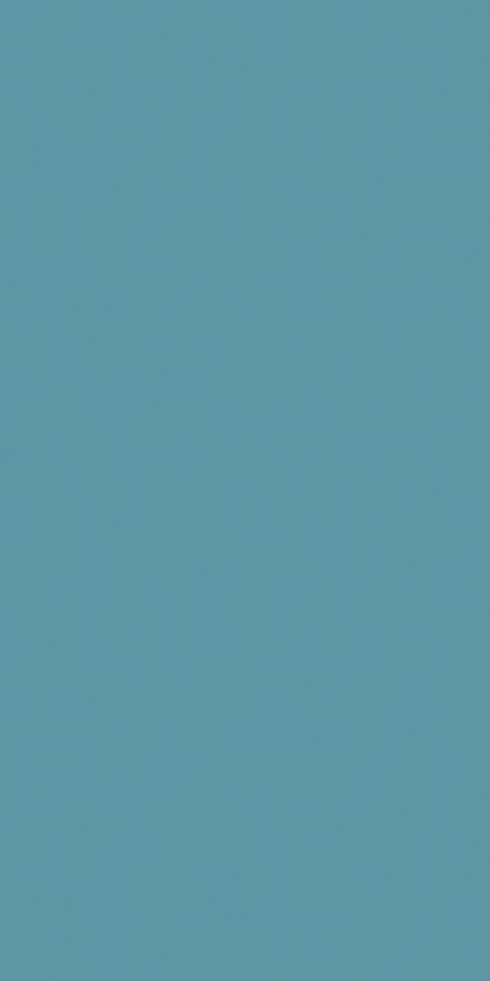 Sky 60x120 матовая