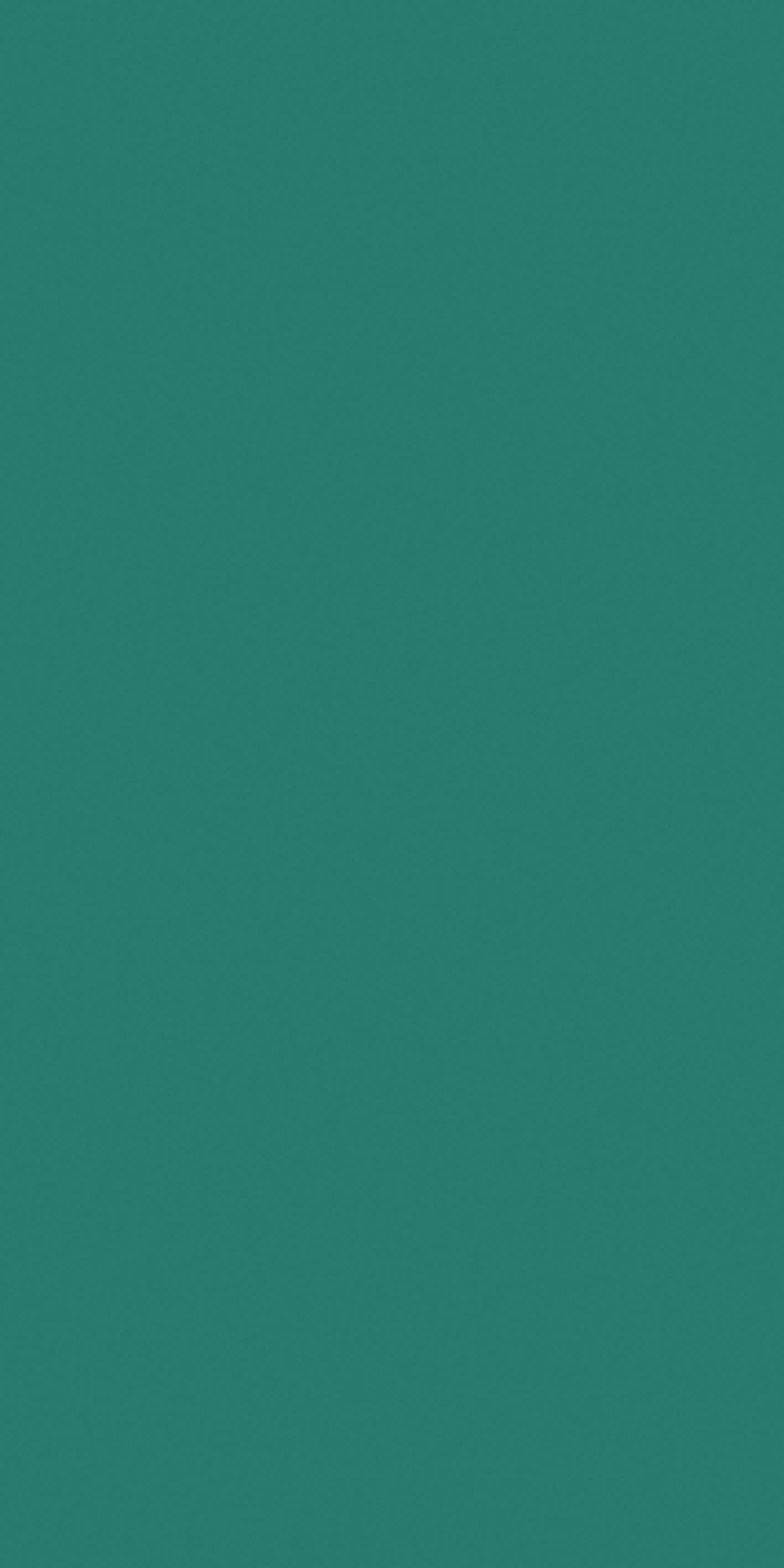 Teal 120x240 матовая