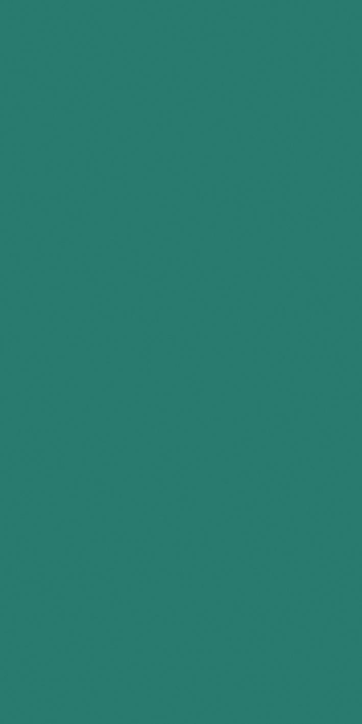 Teal 60x120 матовая